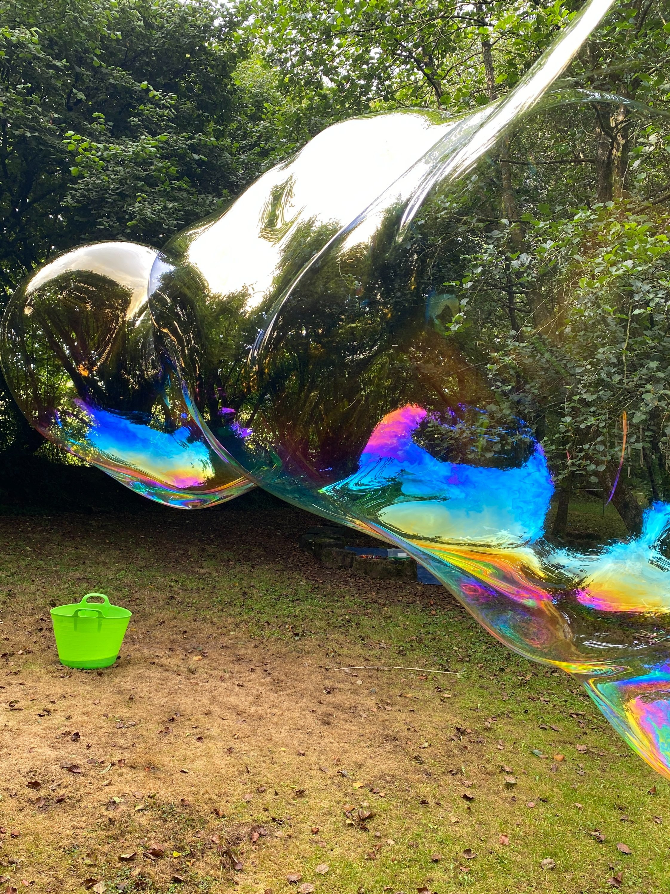 A summer of bubbles ……