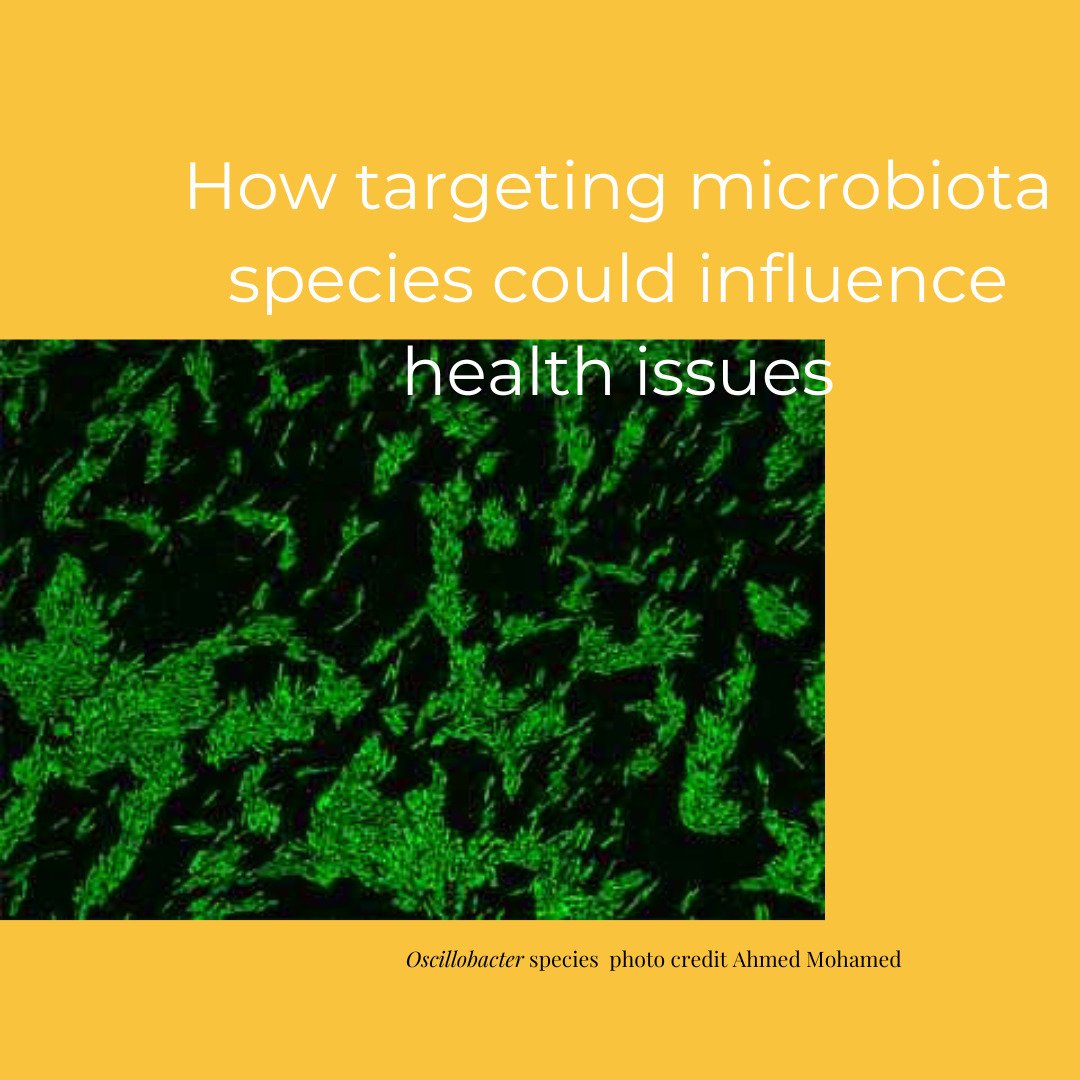 Is the future of gut health the introduction of targeted microbiota to support and correct certain imbalances? It seems so&hellip;

We currently know that Akkermansia levels in the gut affect certain health outcomes and we are now learning that other