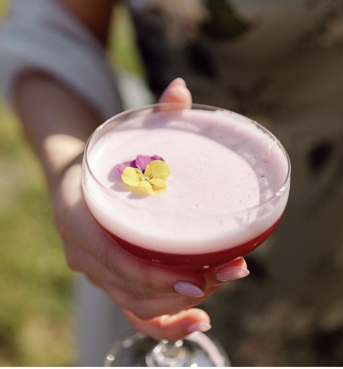 Hibiscus Sour Lindahl.jpg