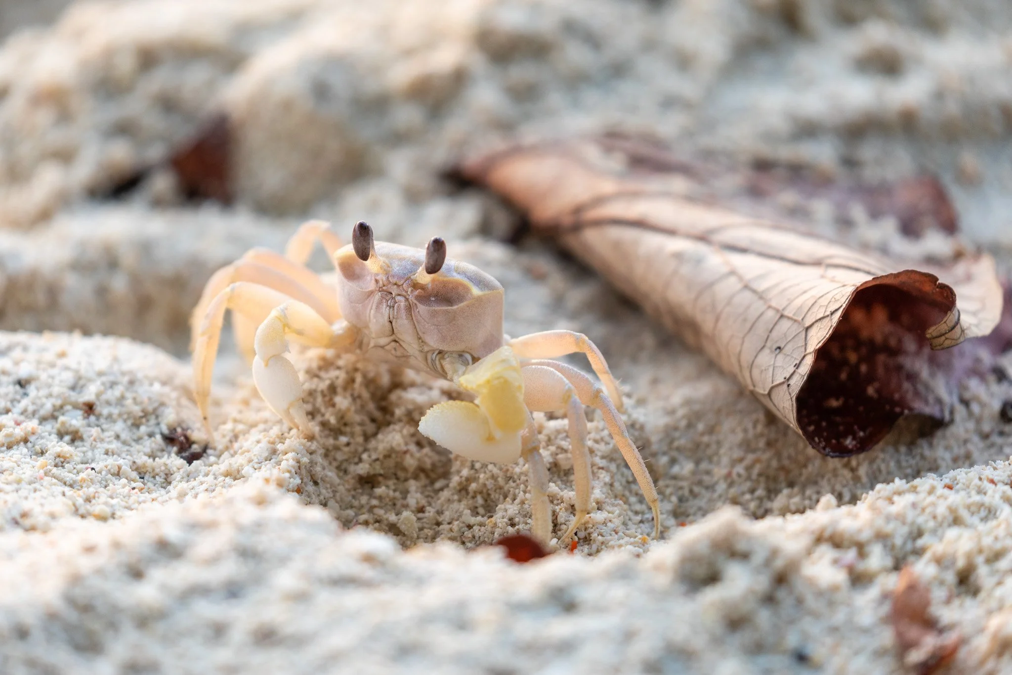 76-wildlife-90.jpg