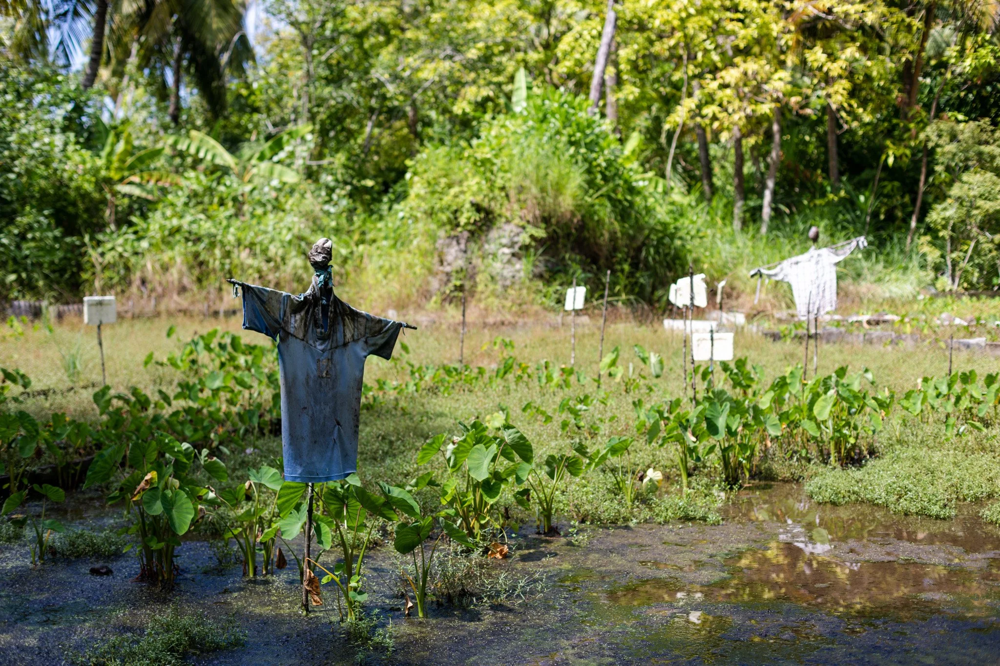 12-island life -38.jpg