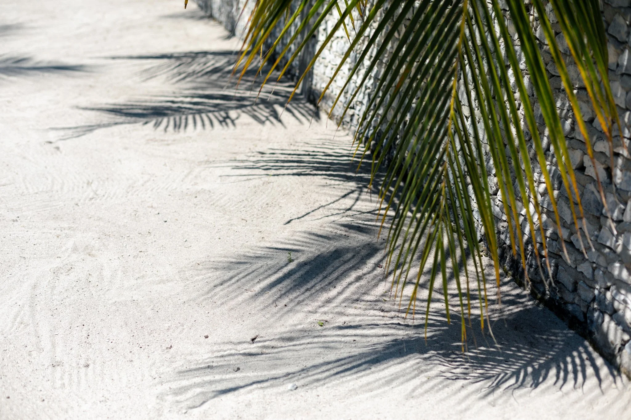 108-island life -54.jpg