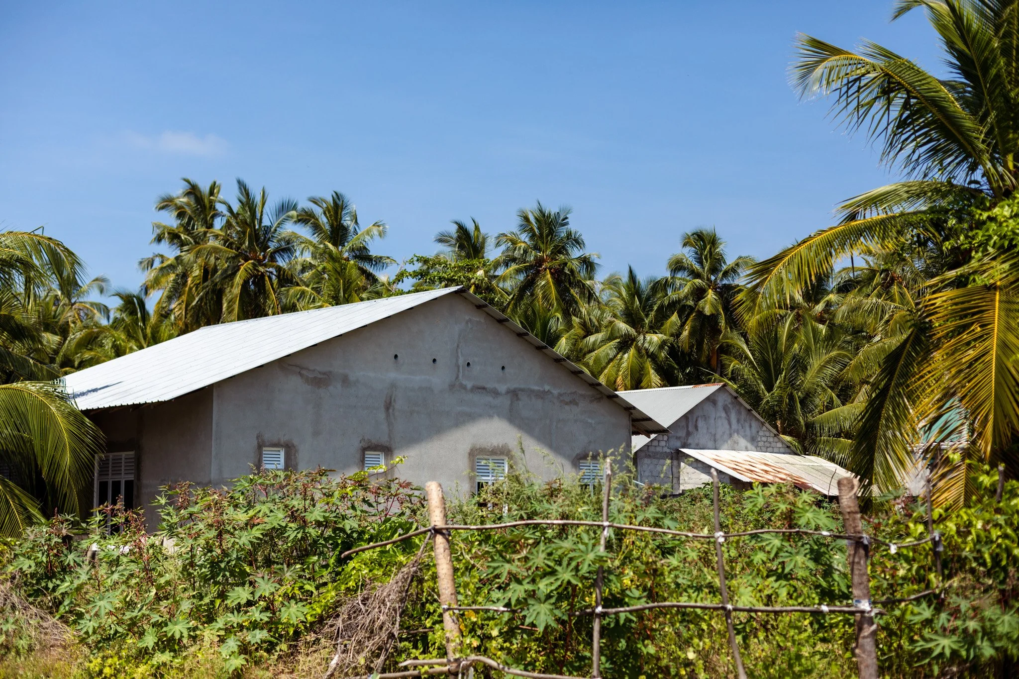 7-island life -55.jpg