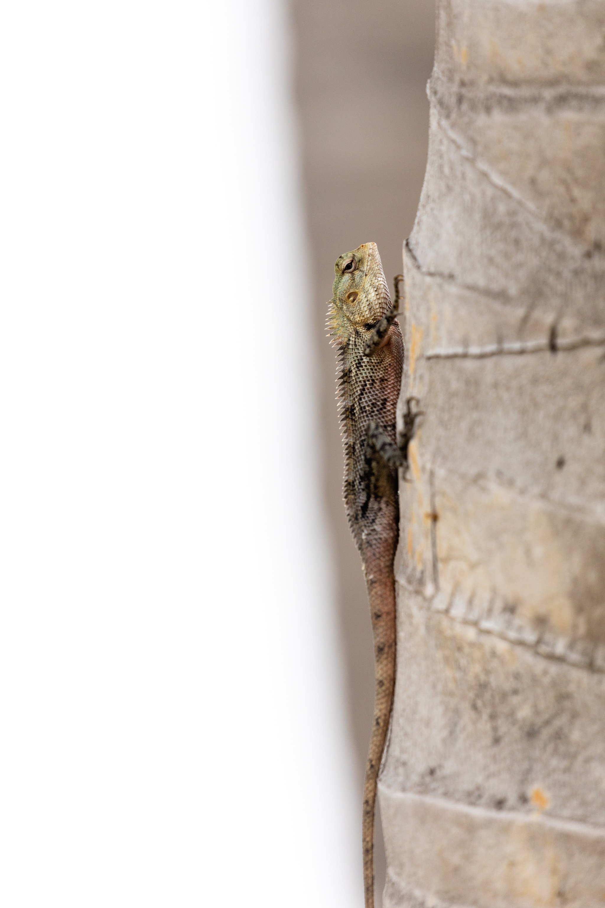 14-wildlife-46.jpg