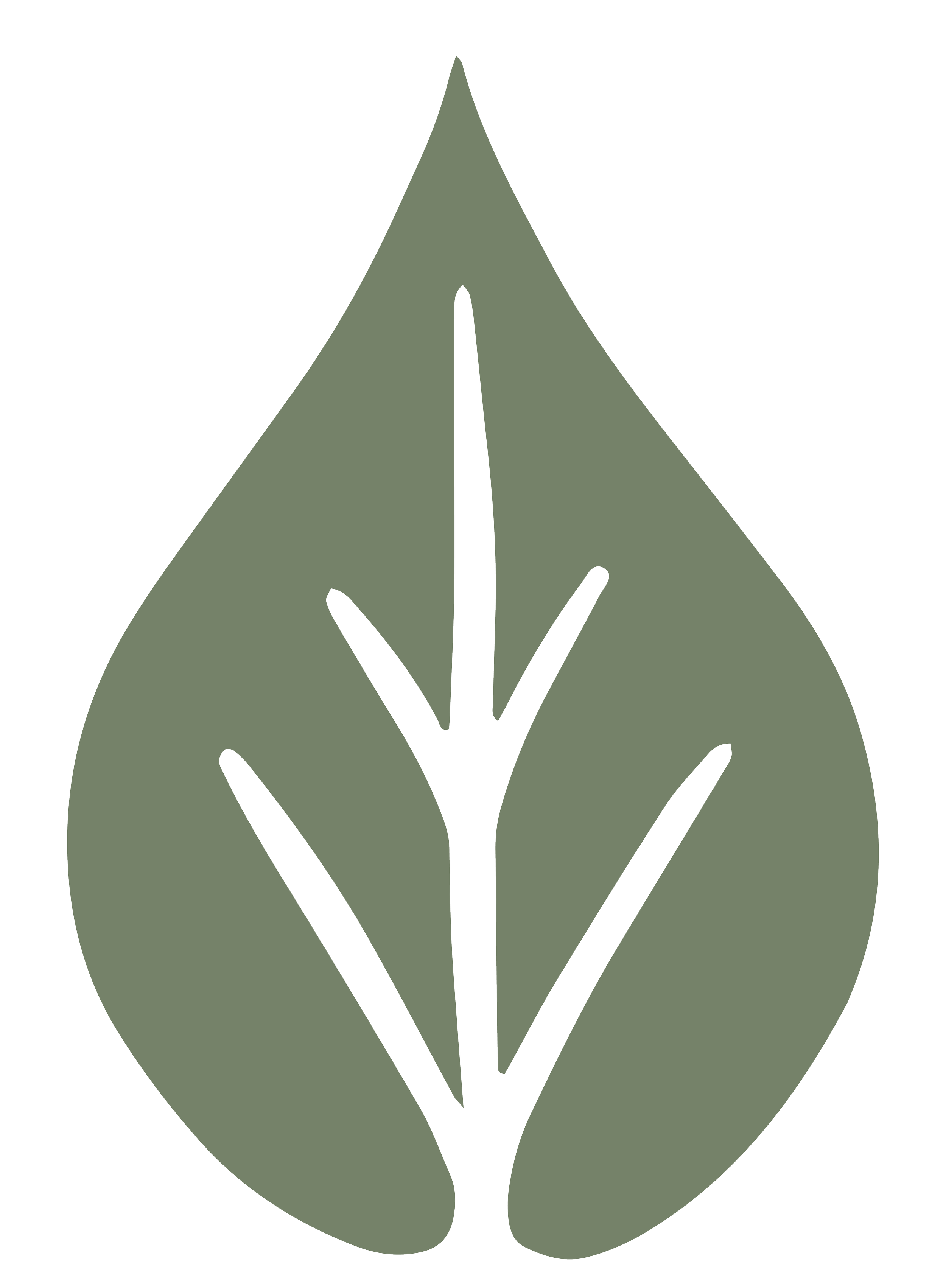 Leaf2_Green.png