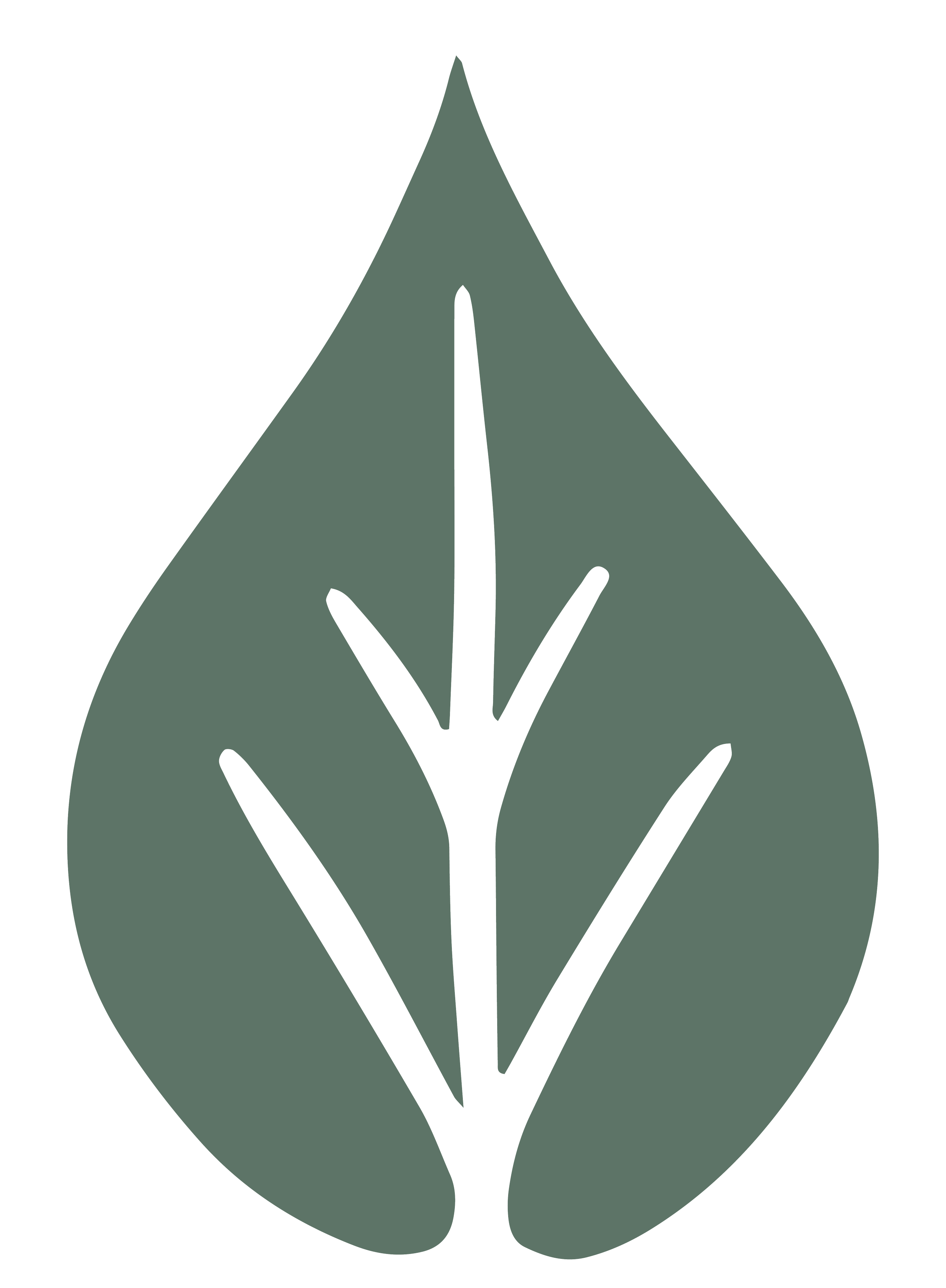 Leaf2_Dark.png