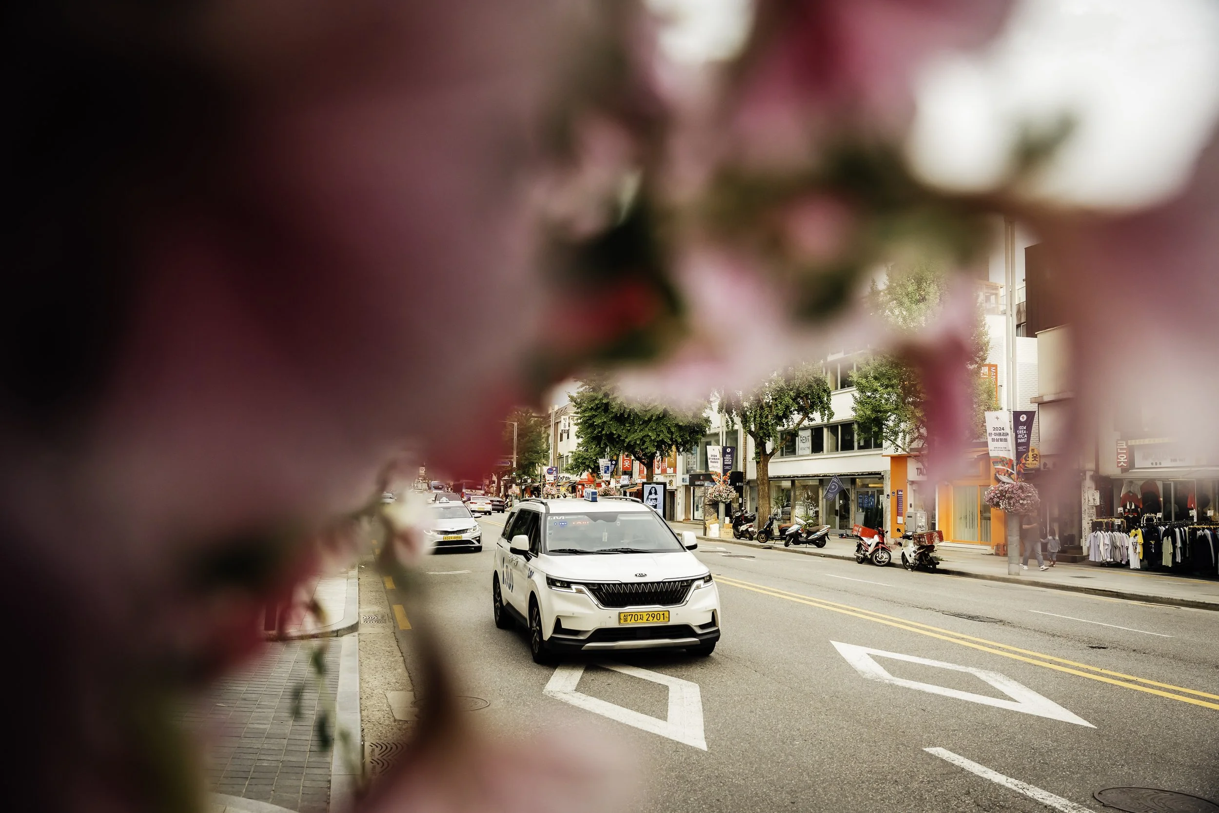 City street scene with a police car in the middle of the road, shops and motorcycles parked along the sidewalk, slightly blurred pink flowers in the foreground.