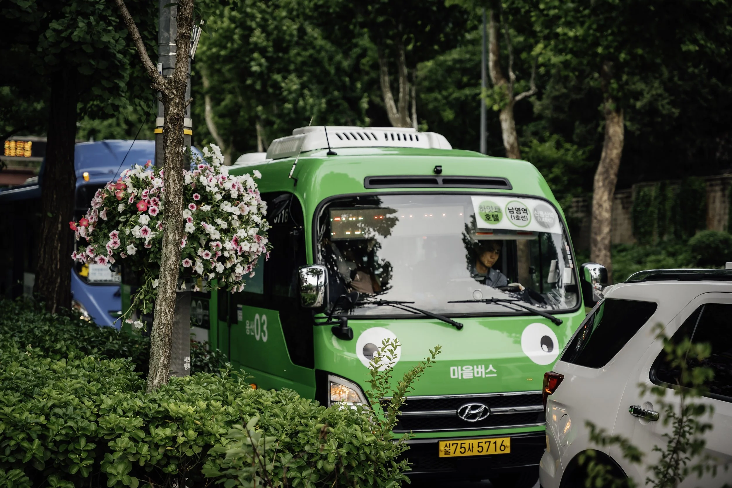 War Memorial Of Korea