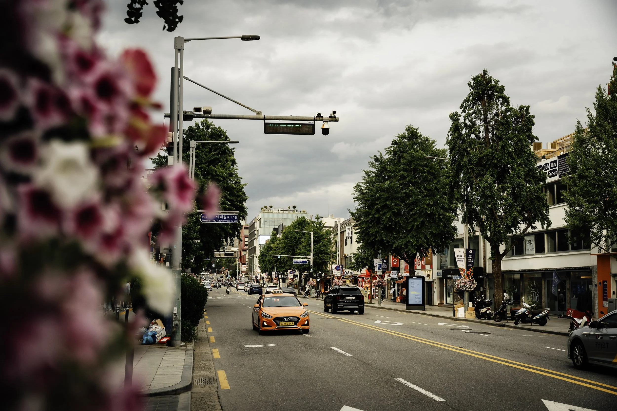 City street with cars, motorcycles, and trees lining the sidewalk. Buildings and shops are visible in the background, and pink flowers are blurred in the foreground. Overcast sky above.