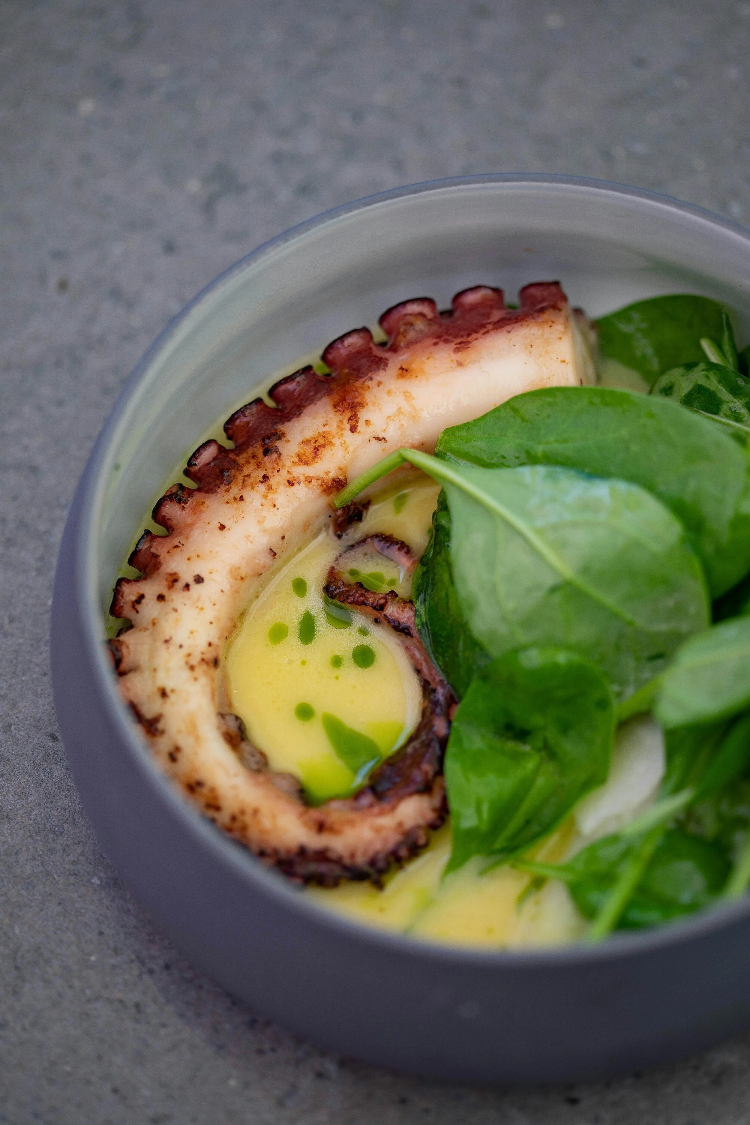 Cooked octopus tentacle with grilled edges, fresh green spinach leaves, and a drizzle of yellow-green sauce in a gray bowl on a gray surface.