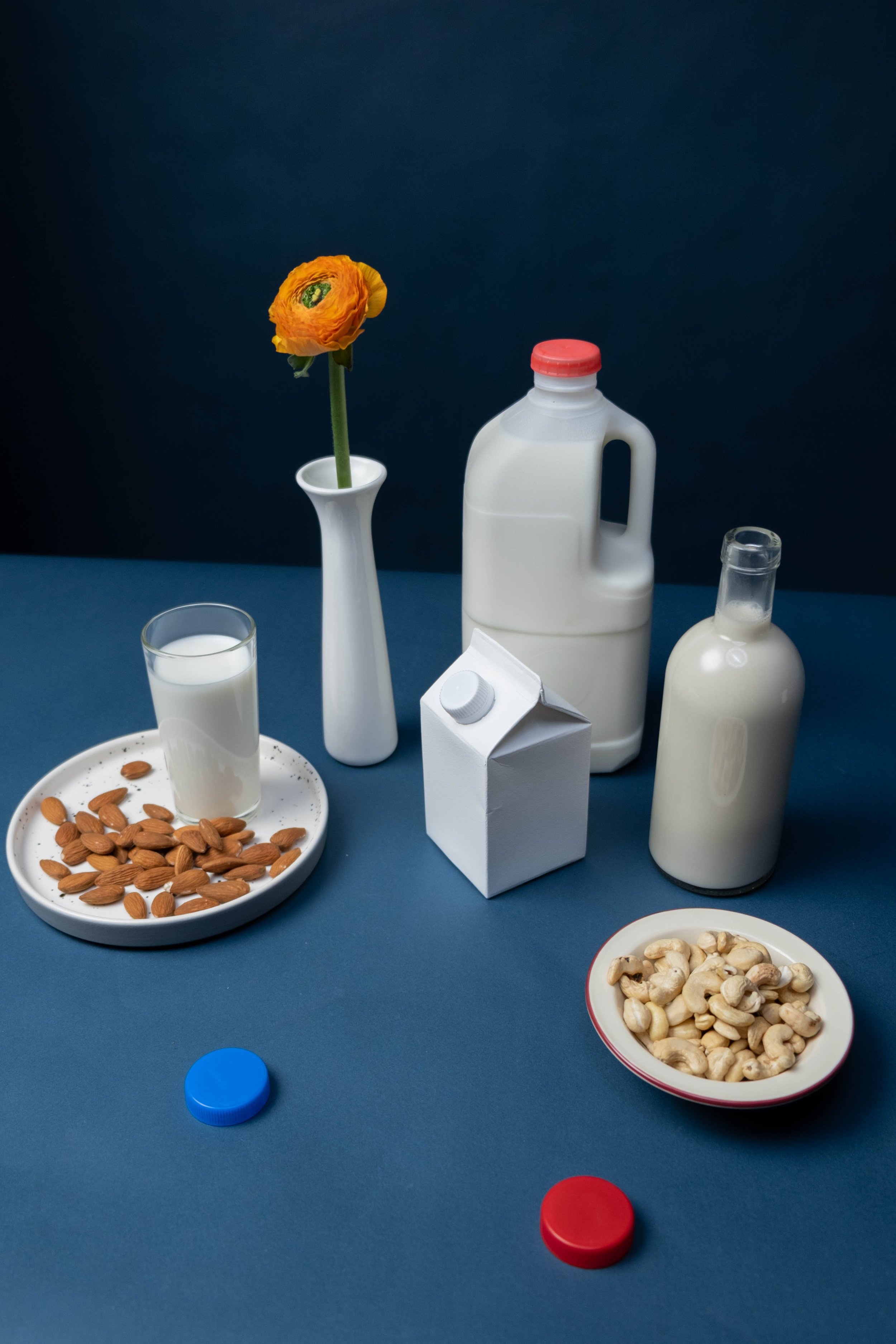 Arrangement of various dairy products, nuts, and a flower in a vase on a blue surface against a dark background.