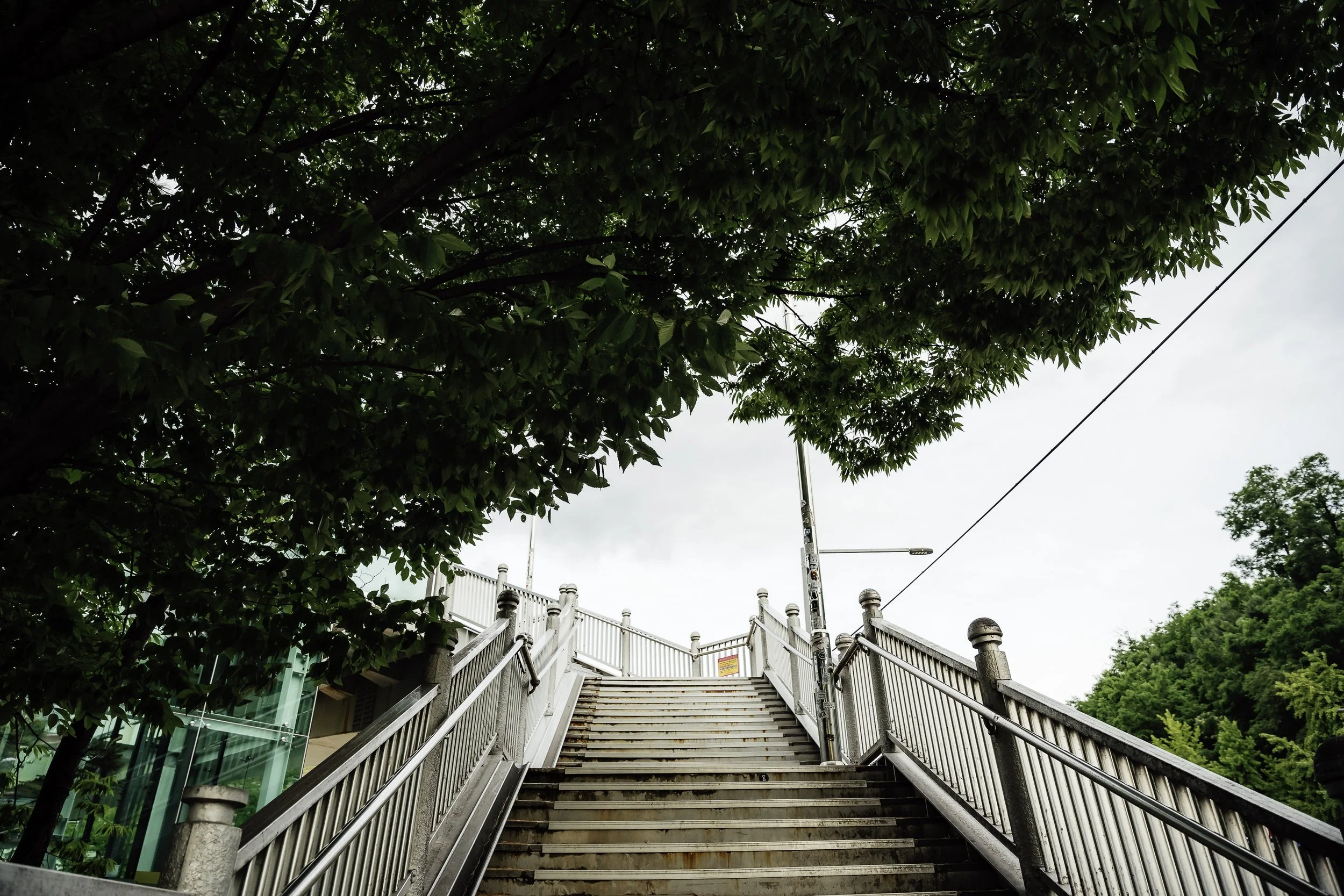 Outdoor staircase leading up to a bridge, surrounded by green trees and overcast sky.