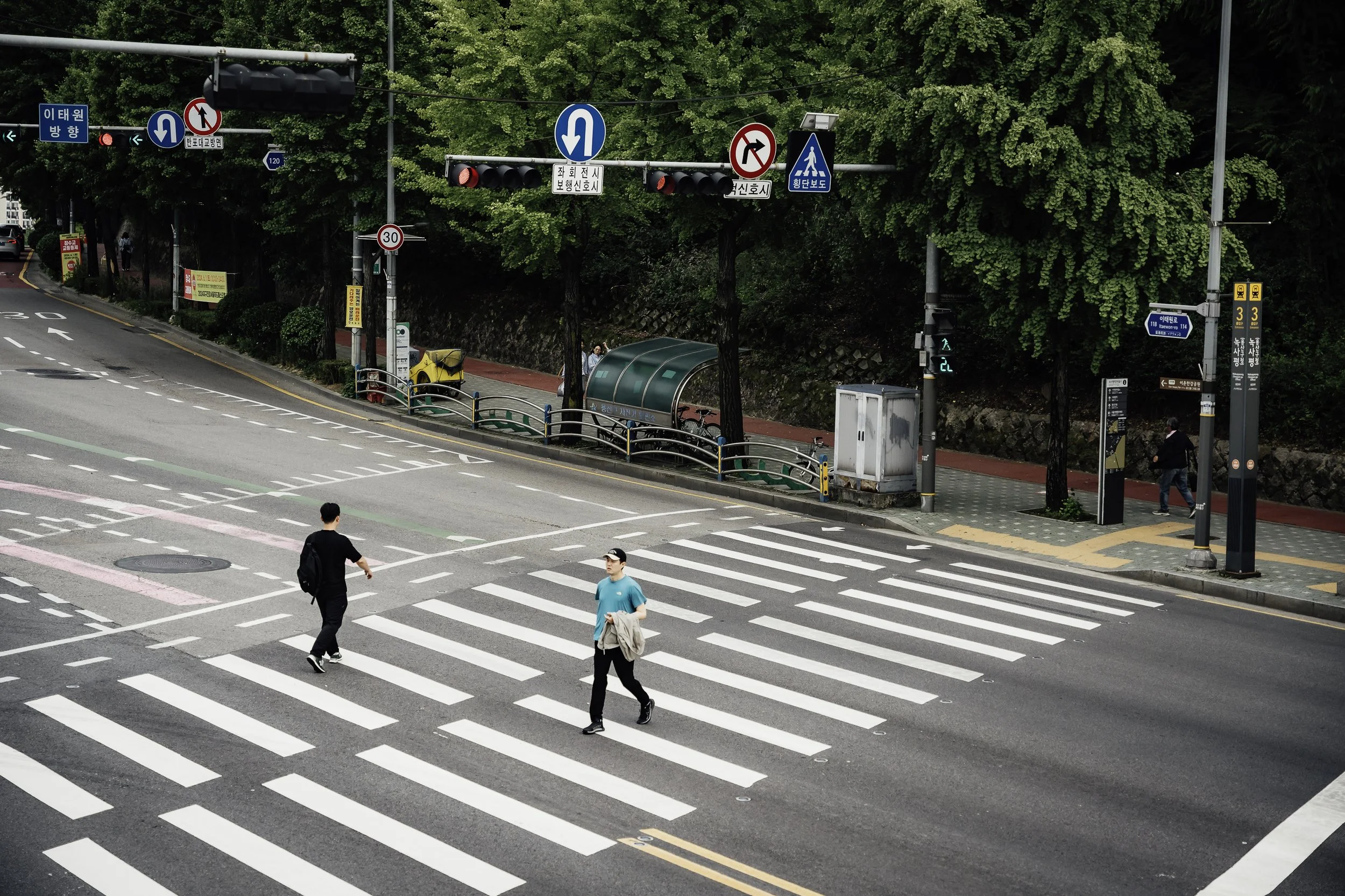 Two pedestrians walk across a busy crosswalk at an intersection with traffic signals and overhead signs. There are trees, a green shelter, and buildings in the background.