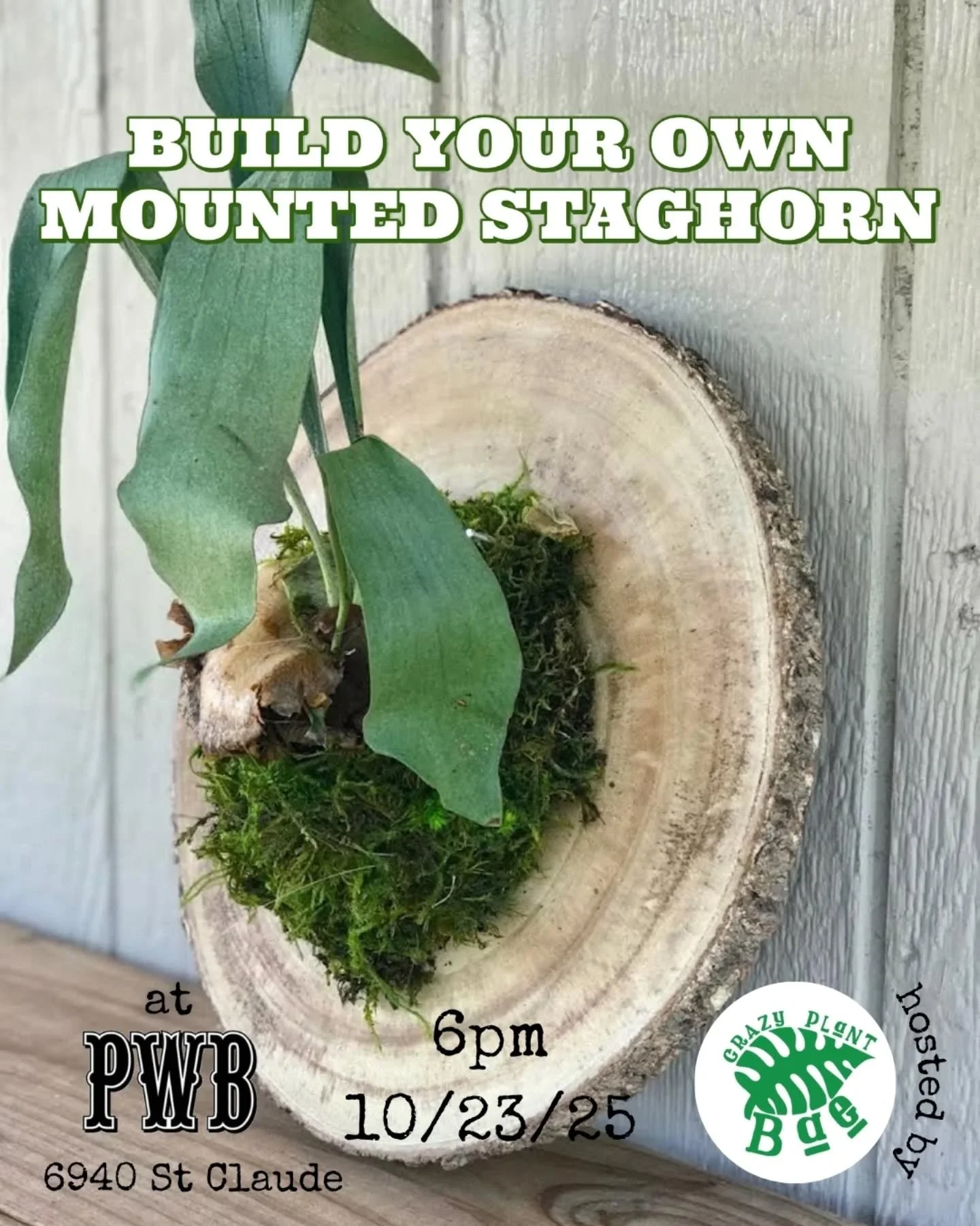 🌿Terrarium Night was so fun, we&rsquo;re doing it again!

🌱This time @crazyplantbae is hosting a Build Your Own Mounted Staghorn Night!

📣Thursday Night, October 23, at 6 pm. Stay Tuned for more details!