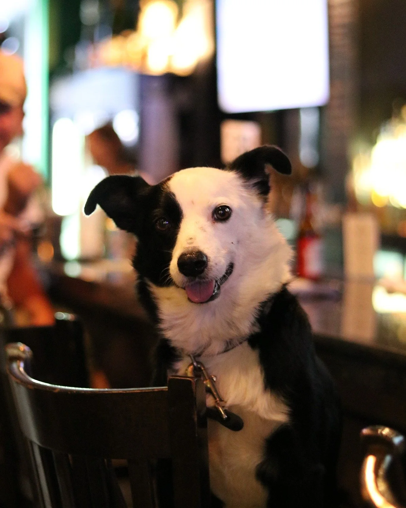 🍀Blueberry Mojitos, Charlie, Pool.

🎱Could you name a better way to spend an afternoon?