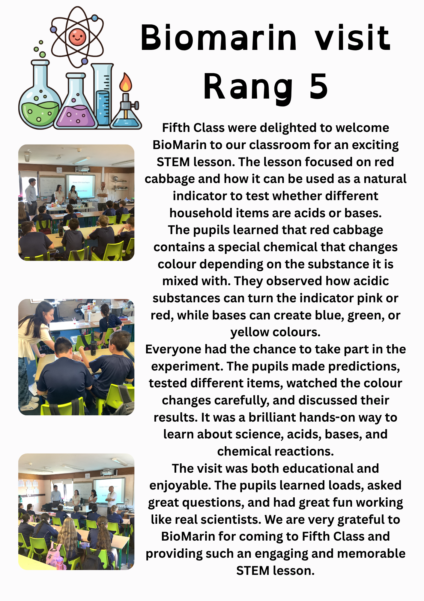 Ollies Echo Term 3