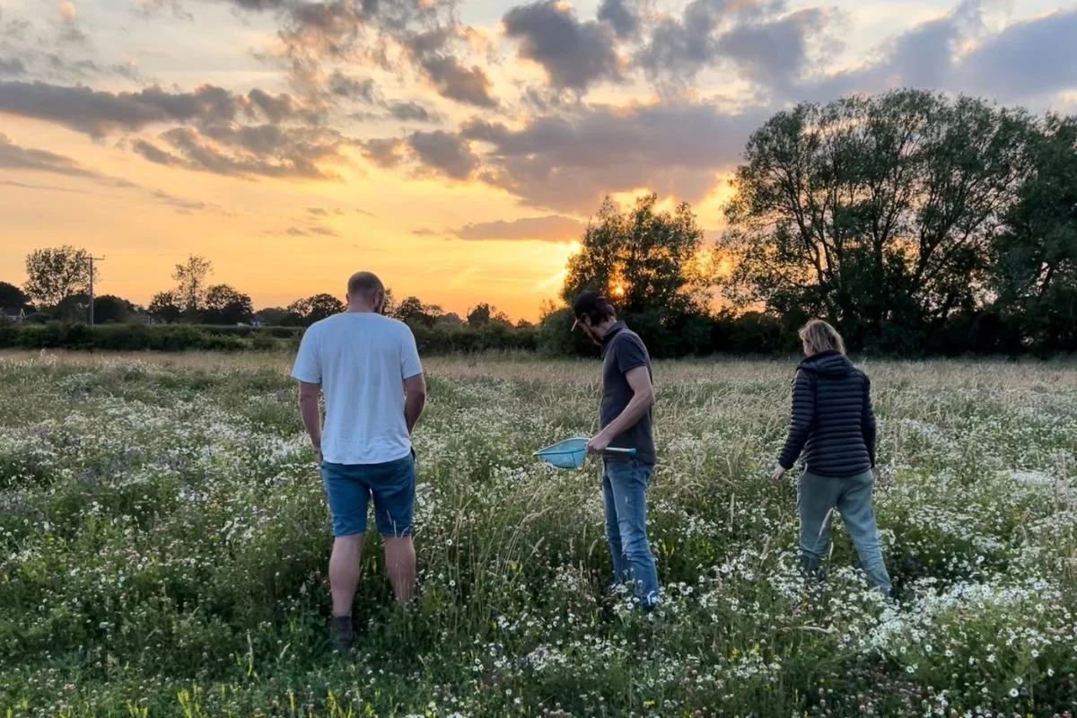Glenn, Rosie and Alex collecting seeds in a species-rich meadow.