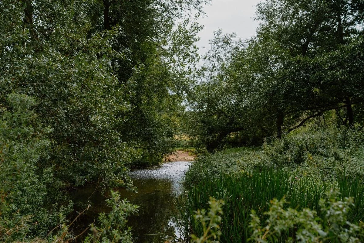 A tree-lined watercourse at Wendling Beck.