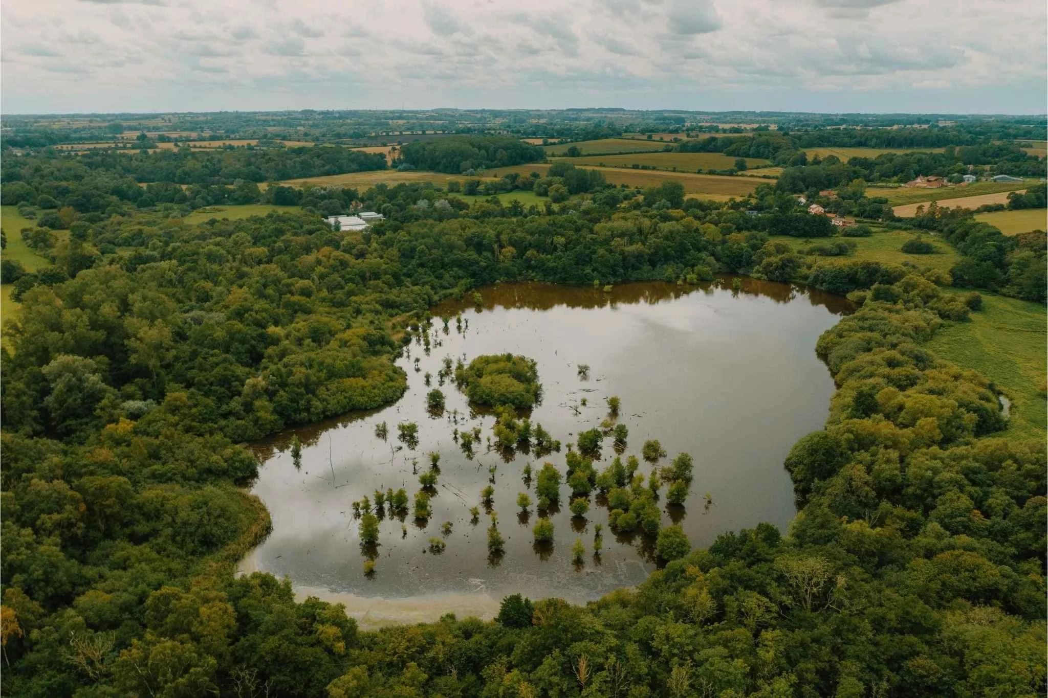 An aerial view of wetland surround by forest at Wendling Beck.