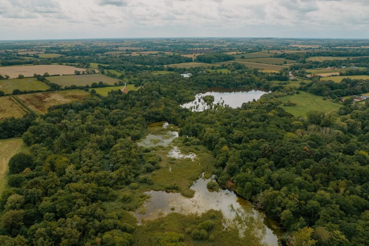 Wetland and forest surrounded by farmland at Wendling Beck.