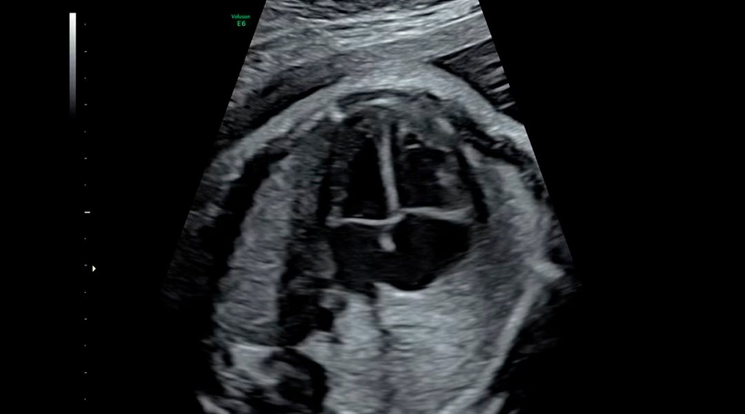 Imagen clinica 11.jpg