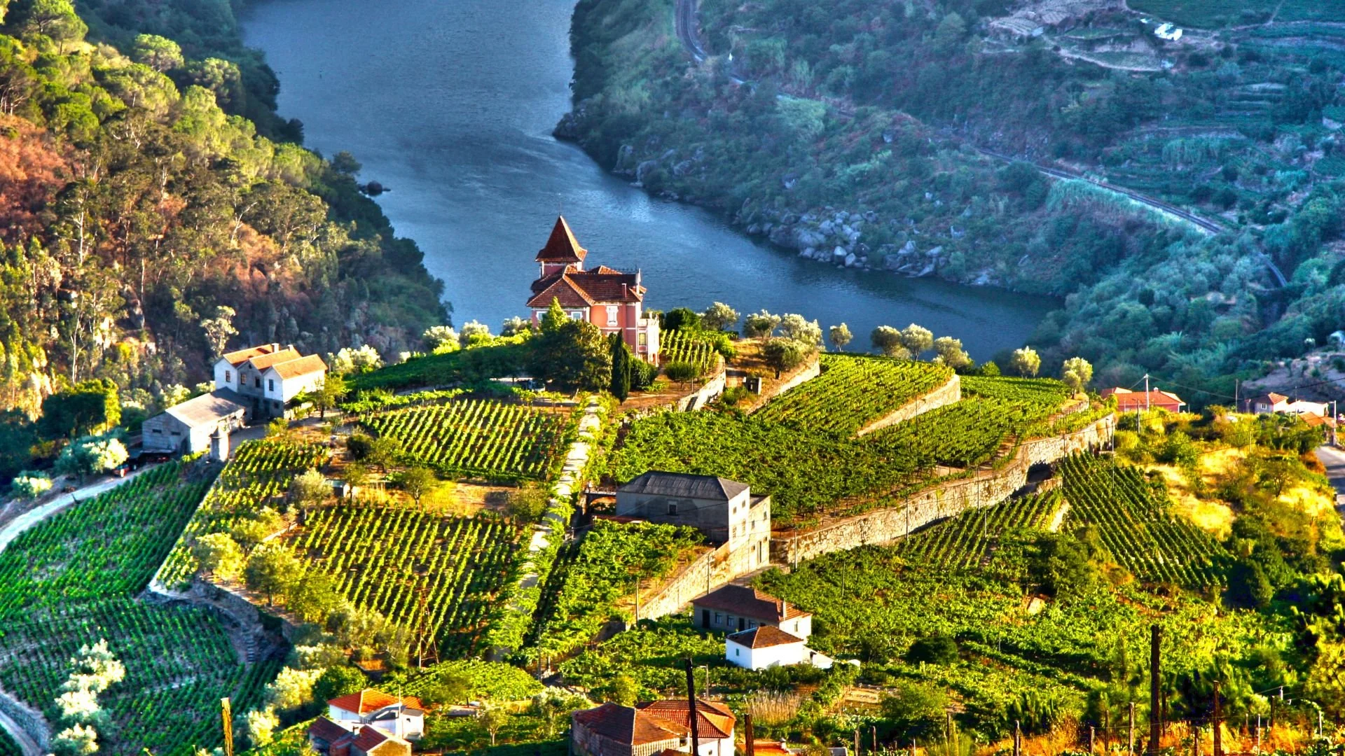 Passeio de um dia no Vale do Douro com provas de vinho
