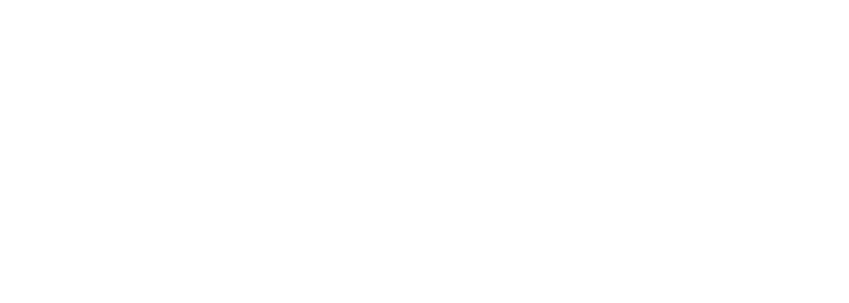 Kings Group — empresa licenciada pelo Turismo de Portugal
