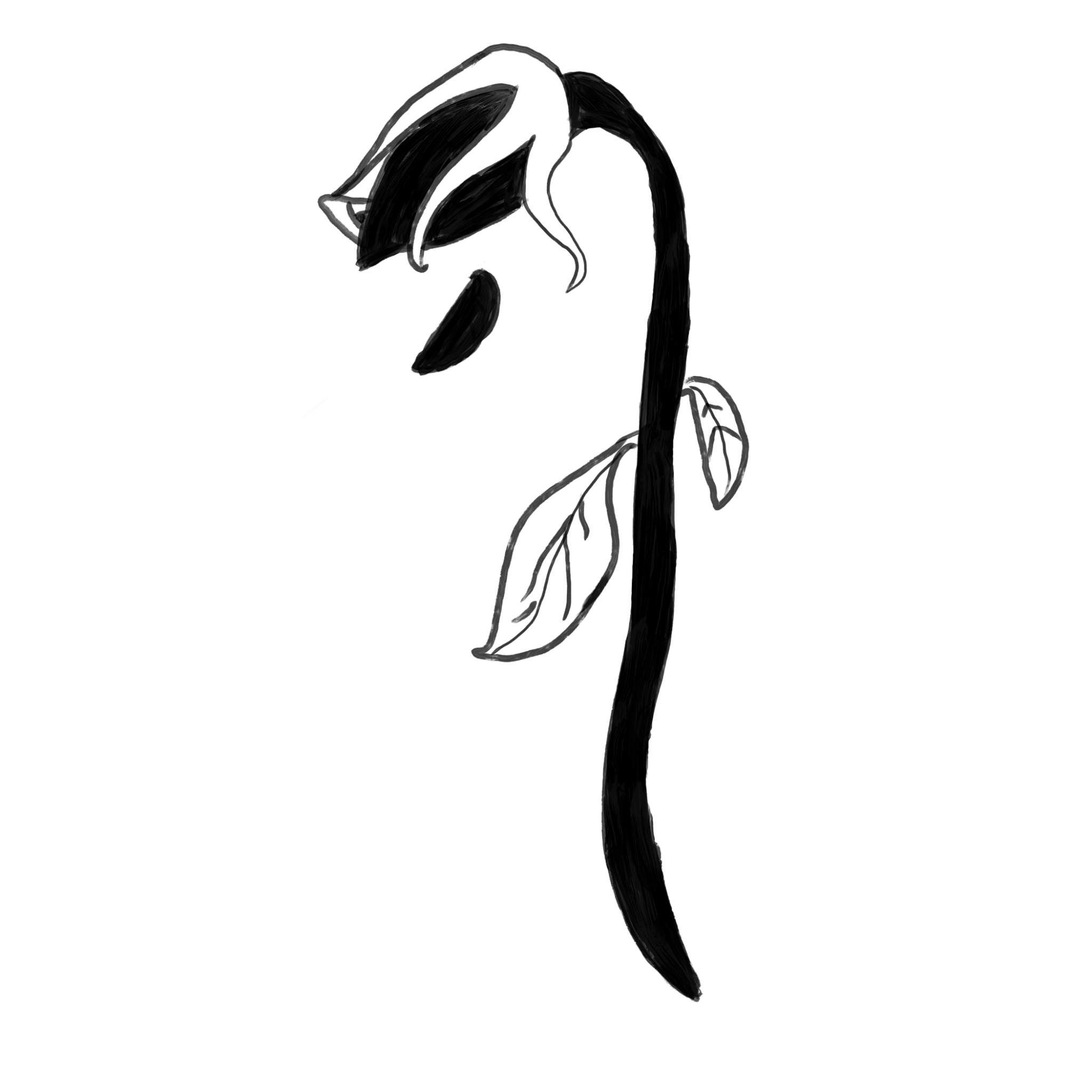 Death - Audrey.png