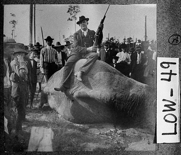 A Circus that Hunts pt. 2