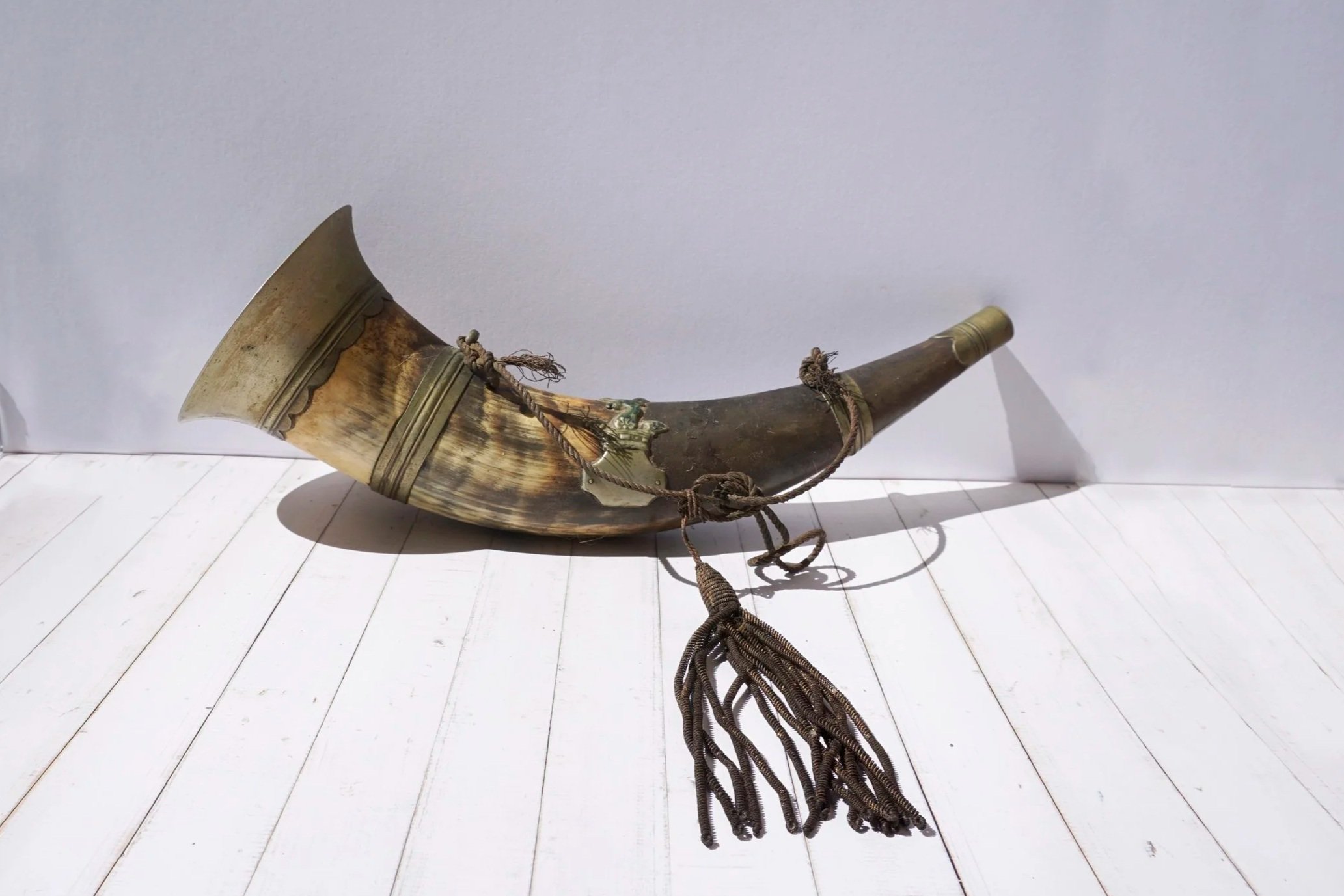 African Buffalo Horn.  #AH261CFT