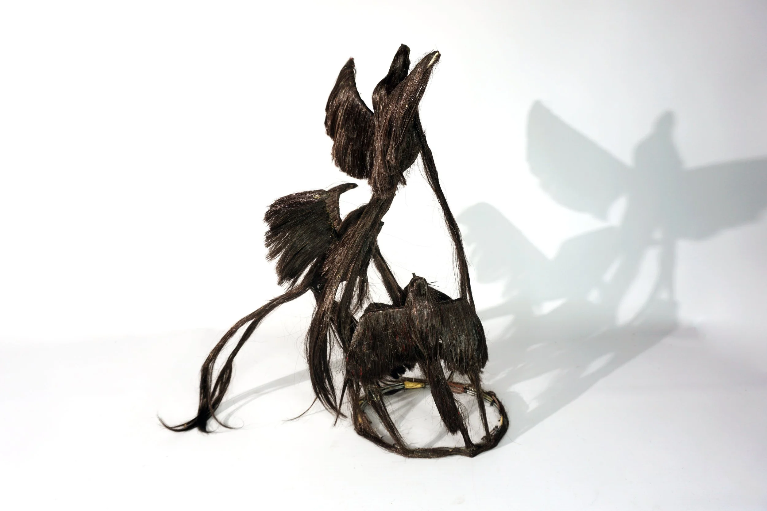 Bird Hair Headpiece.  #BH269CFT