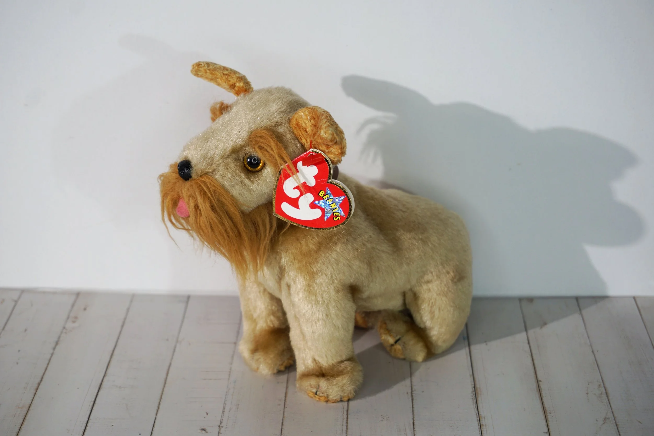 Dog TY Beanie Baby.  #BB266CHD