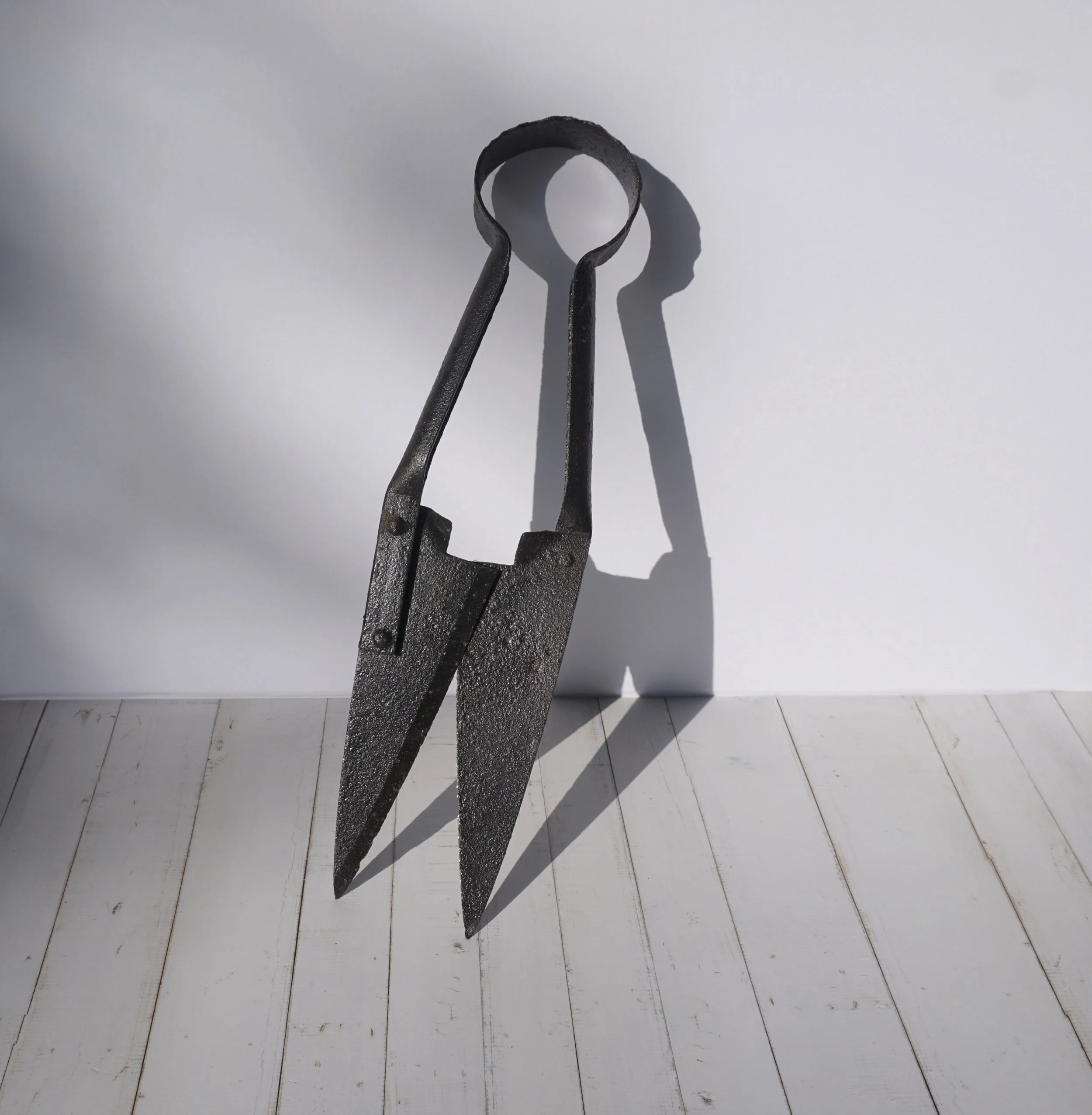 Black Sheep Shearers.  #BS262OTD