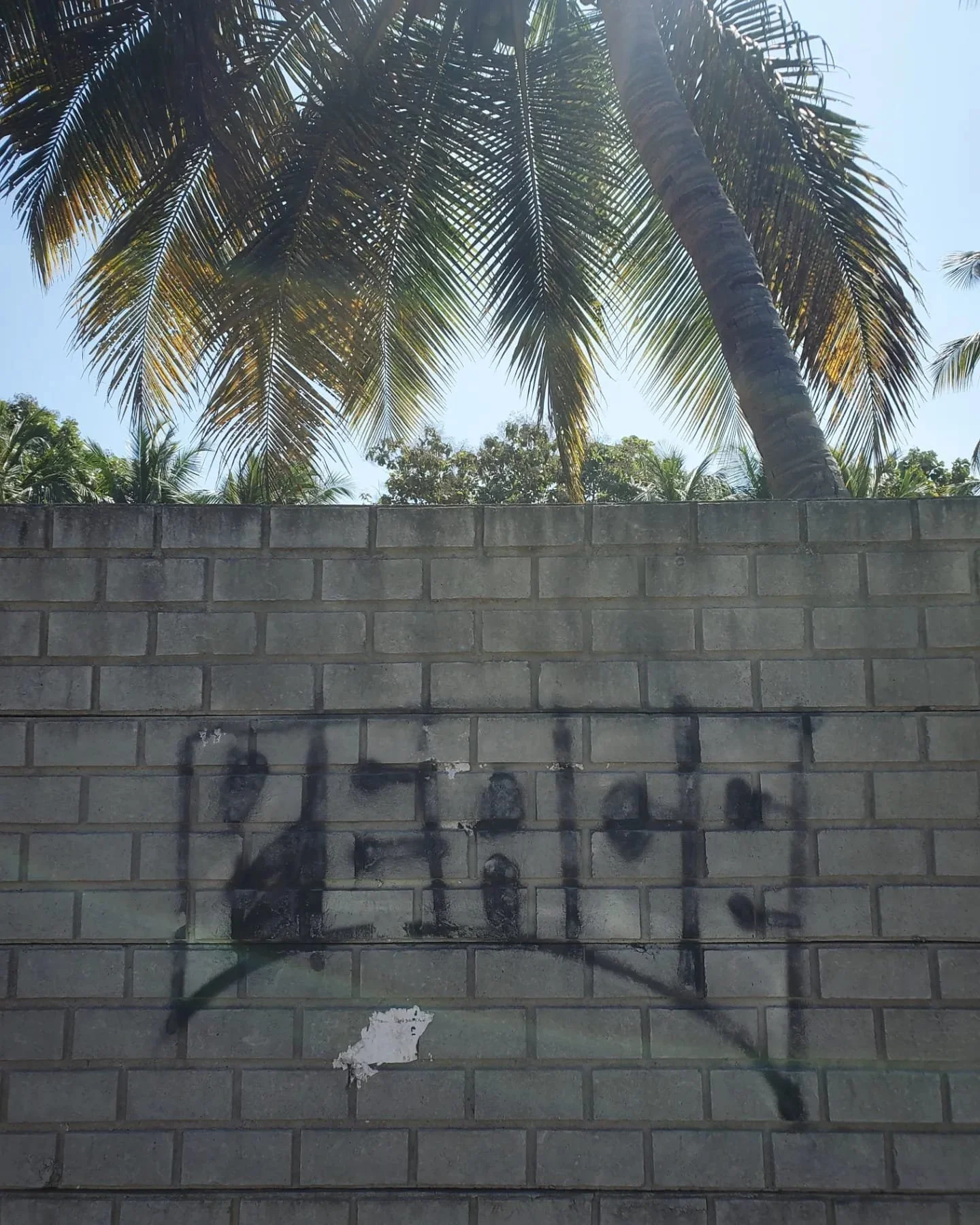 WhatsApp Image 2024-03-13 at 9.00.31 PM (2).jpeg