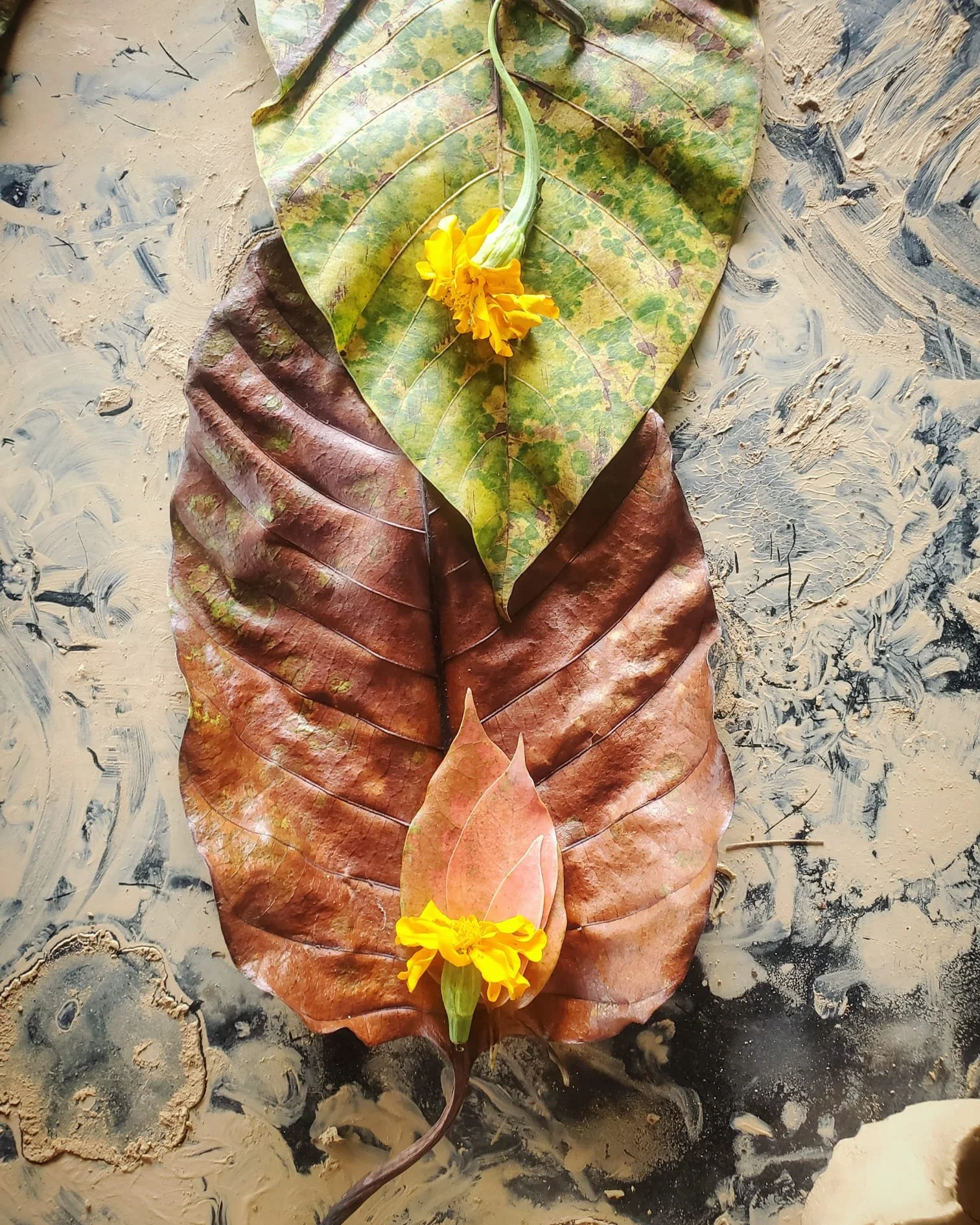 WhatsApp Image 2024-03-13 at 9.12.42 PM (1).jpeg