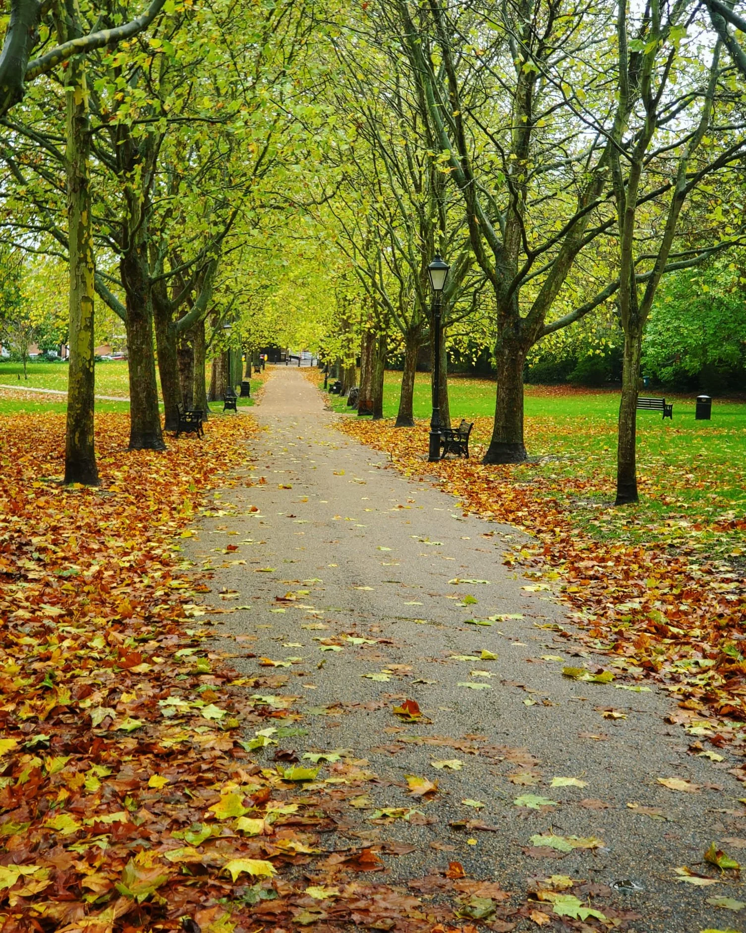 WhatsApp Image 2024-03-13 at 9.00.44 PM (1).jpeg