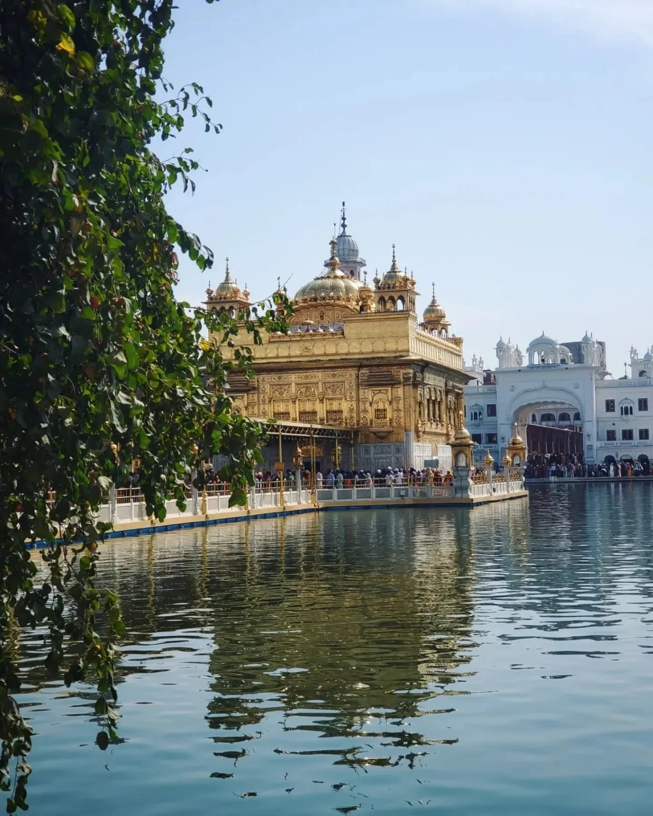 WhatsApp Image 2024-03-13 at 10.04.22 AM (3).jpeg