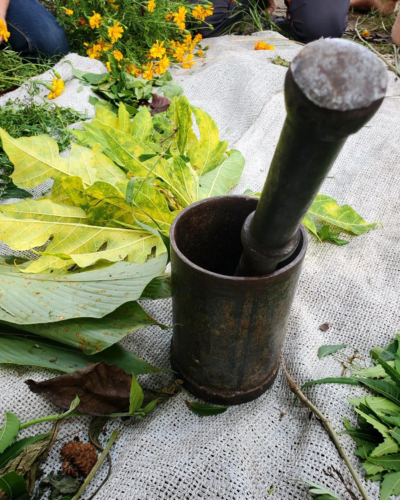 WhatsApp Image 2024-03-13 at 9.12.43 PM.jpeg