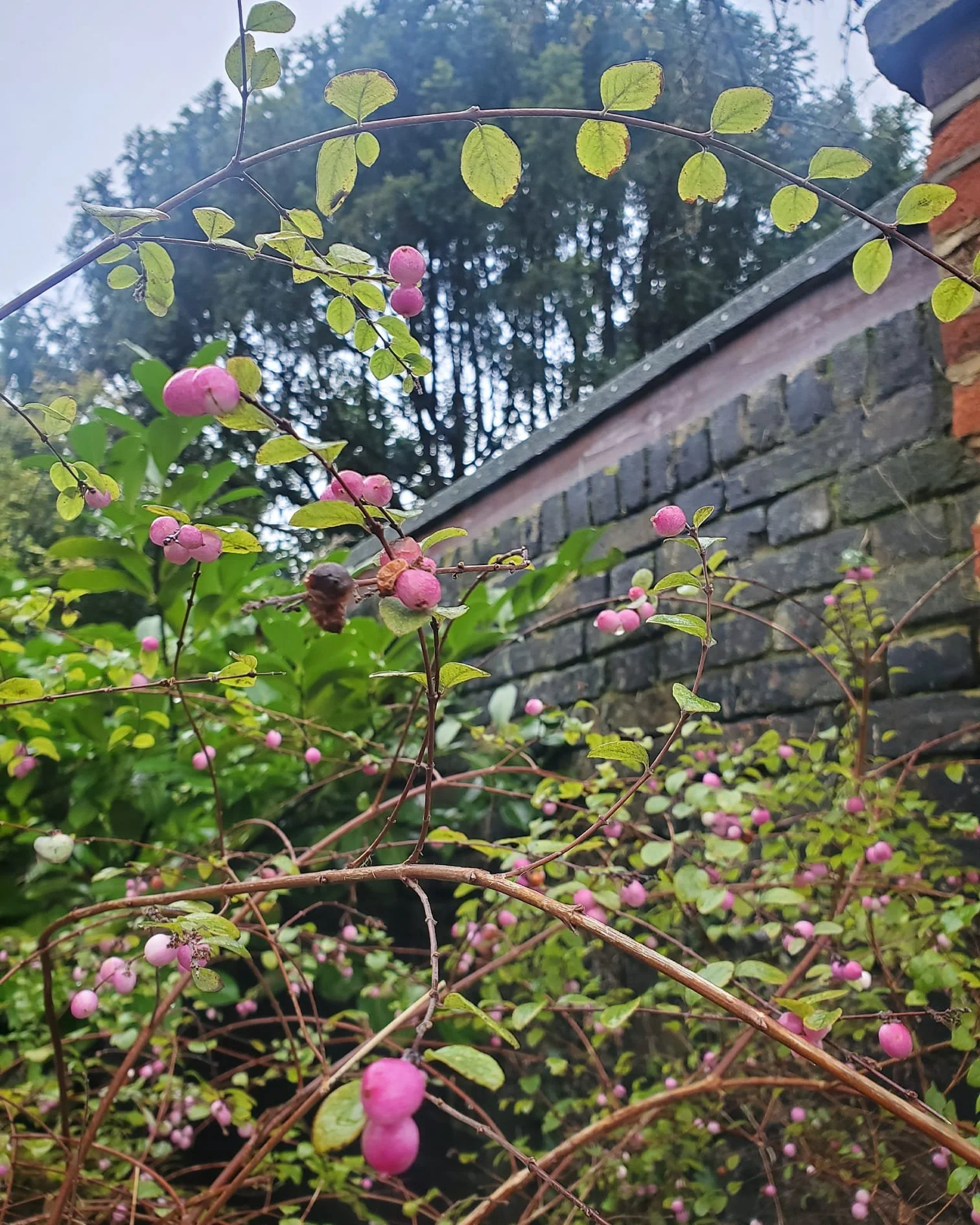 WhatsApp Image 2024-03-13 at 9.00.40 PM (3).jpeg