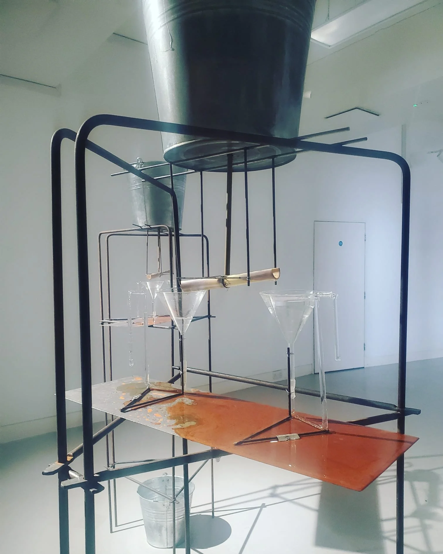 WhatsApp Image 2024-03-13 at 9.12.46 PM (1).jpeg