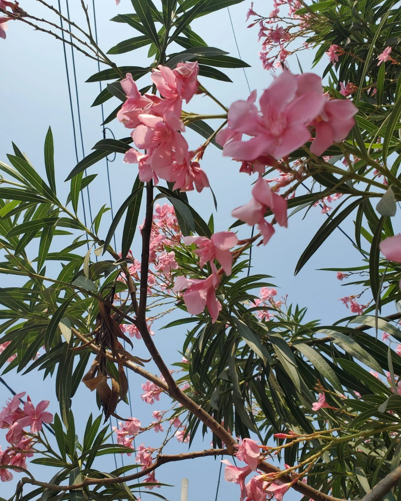 WhatsApp Image 2024-03-13 at 9.00.34 PM (3).jpeg