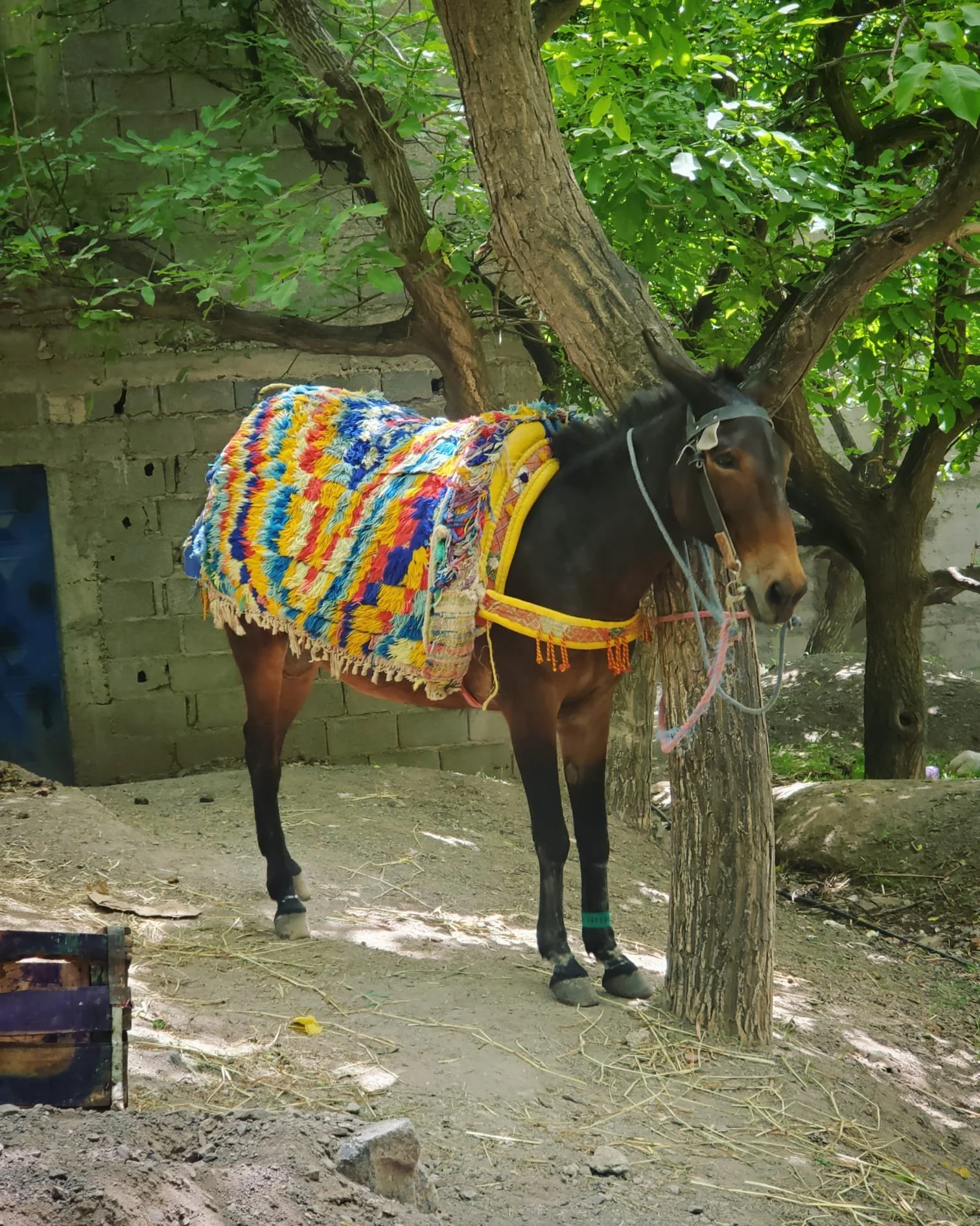 WhatsApp Image 2024-03-13 at 10.17.02 PM (3).jpeg