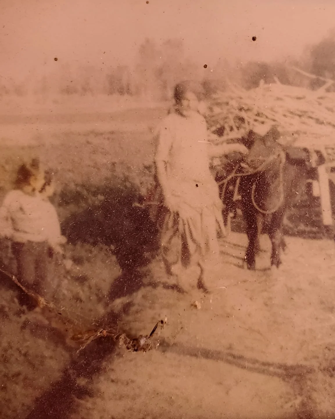 WhatsApp Image 2024-03-13 at 10.04.11 AM.jpeg