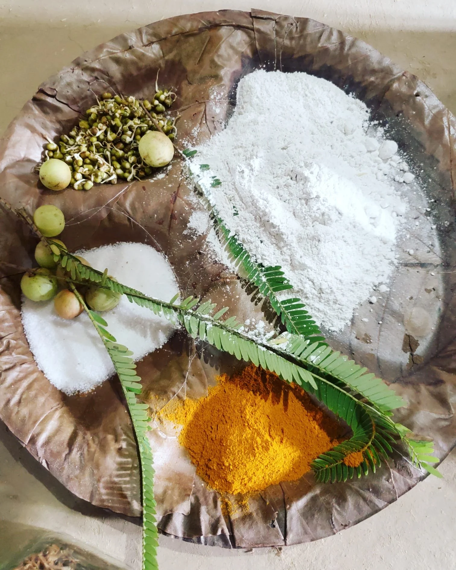 WhatsApp Image 2024-03-13 at 9.12.42 PM (3).jpeg