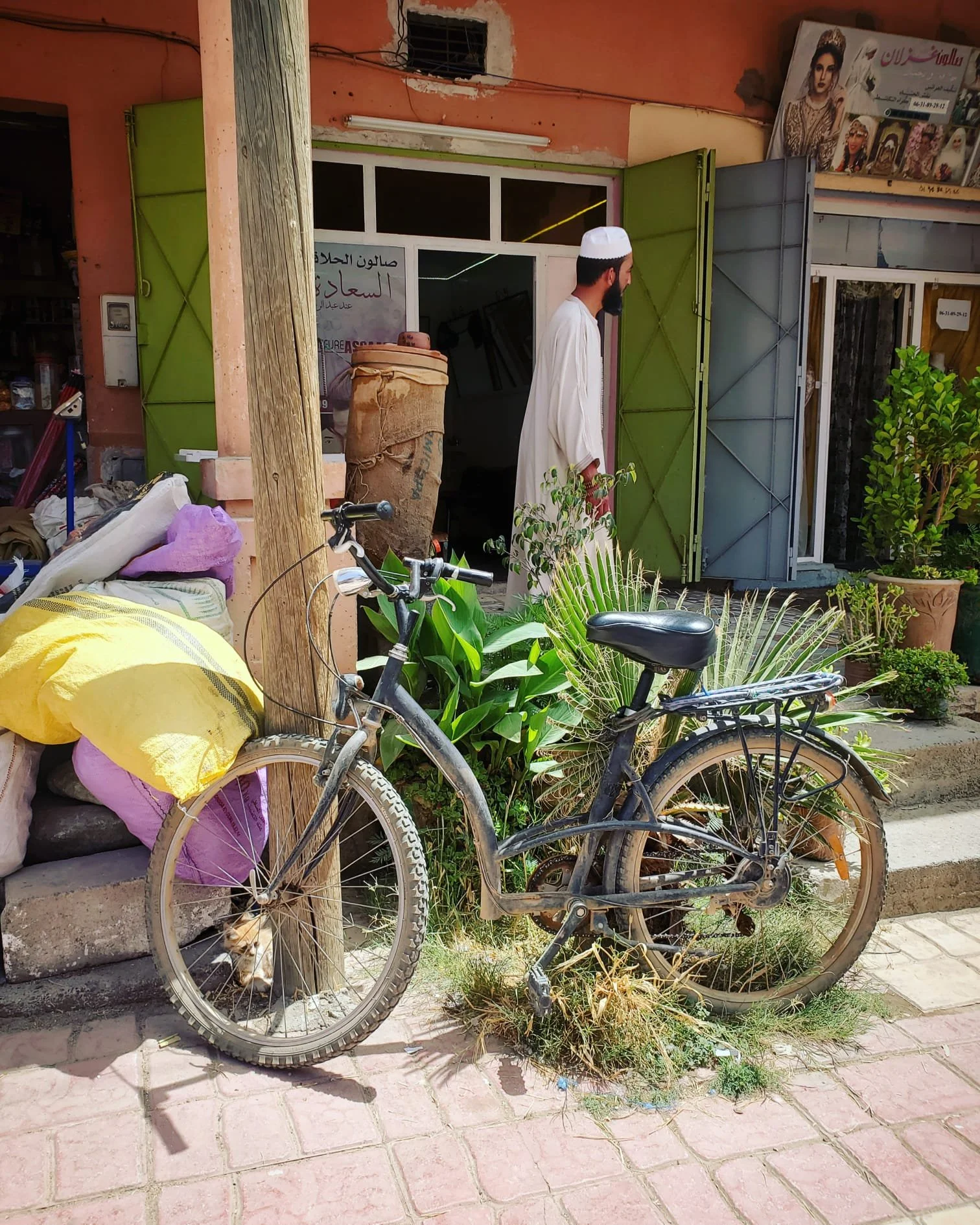 WhatsApp Image 2024-03-13 at 10.17.16 PM (2).jpeg