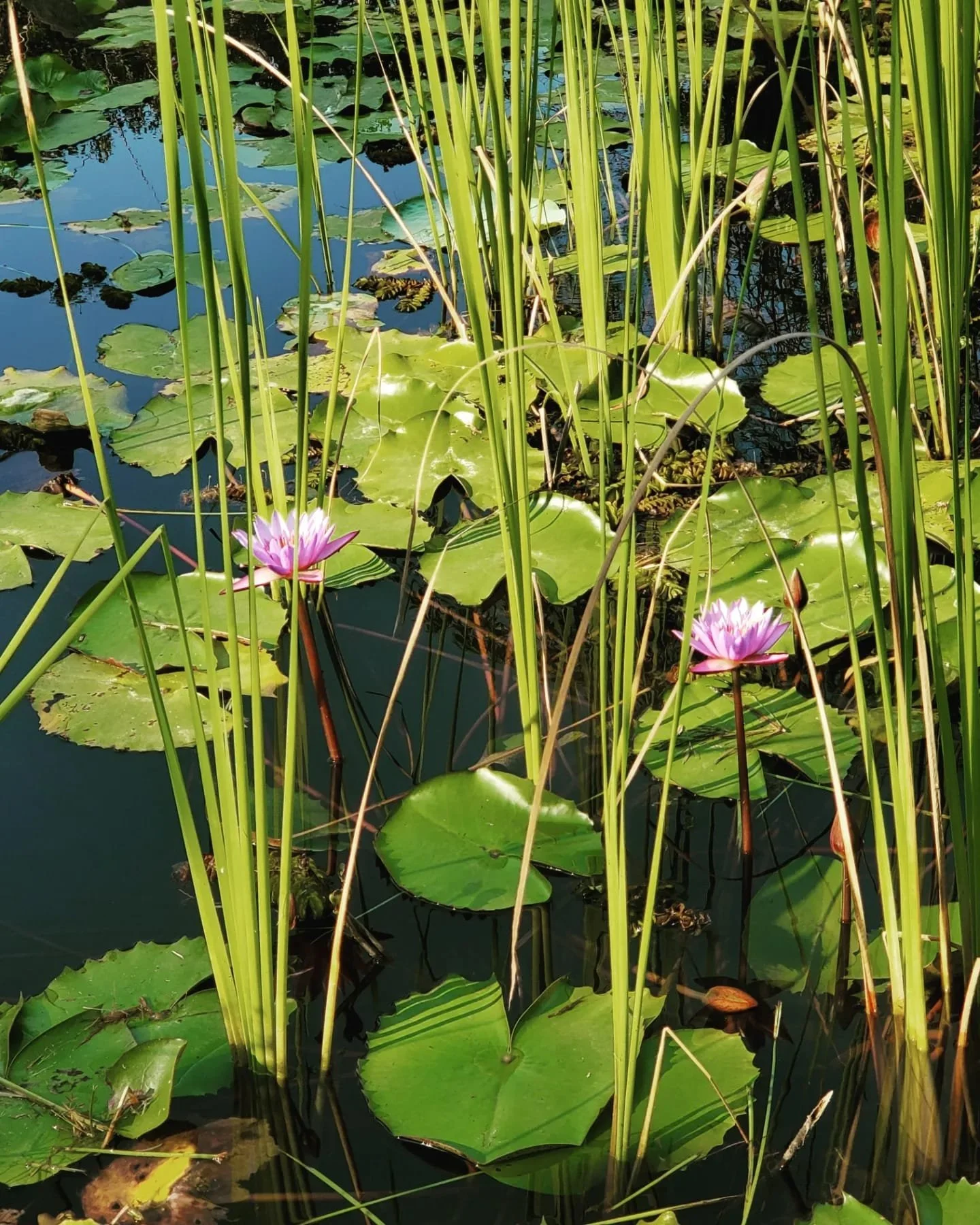 WhatsApp Image 2024-03-13 at 9.00.31 PM (1).jpeg