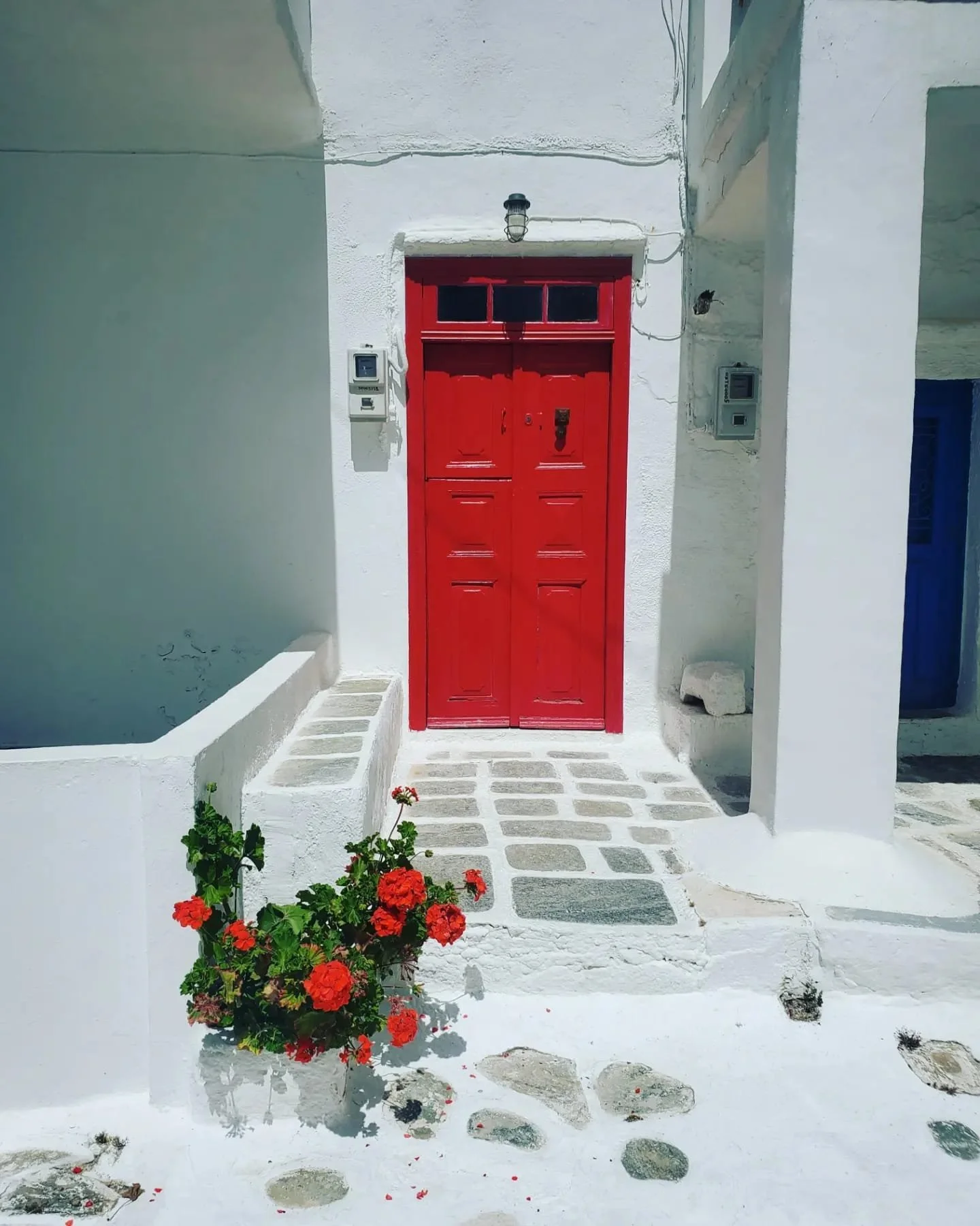 WhatsApp Image 2024-03-13 at 10.17.06 PM (2).jpeg