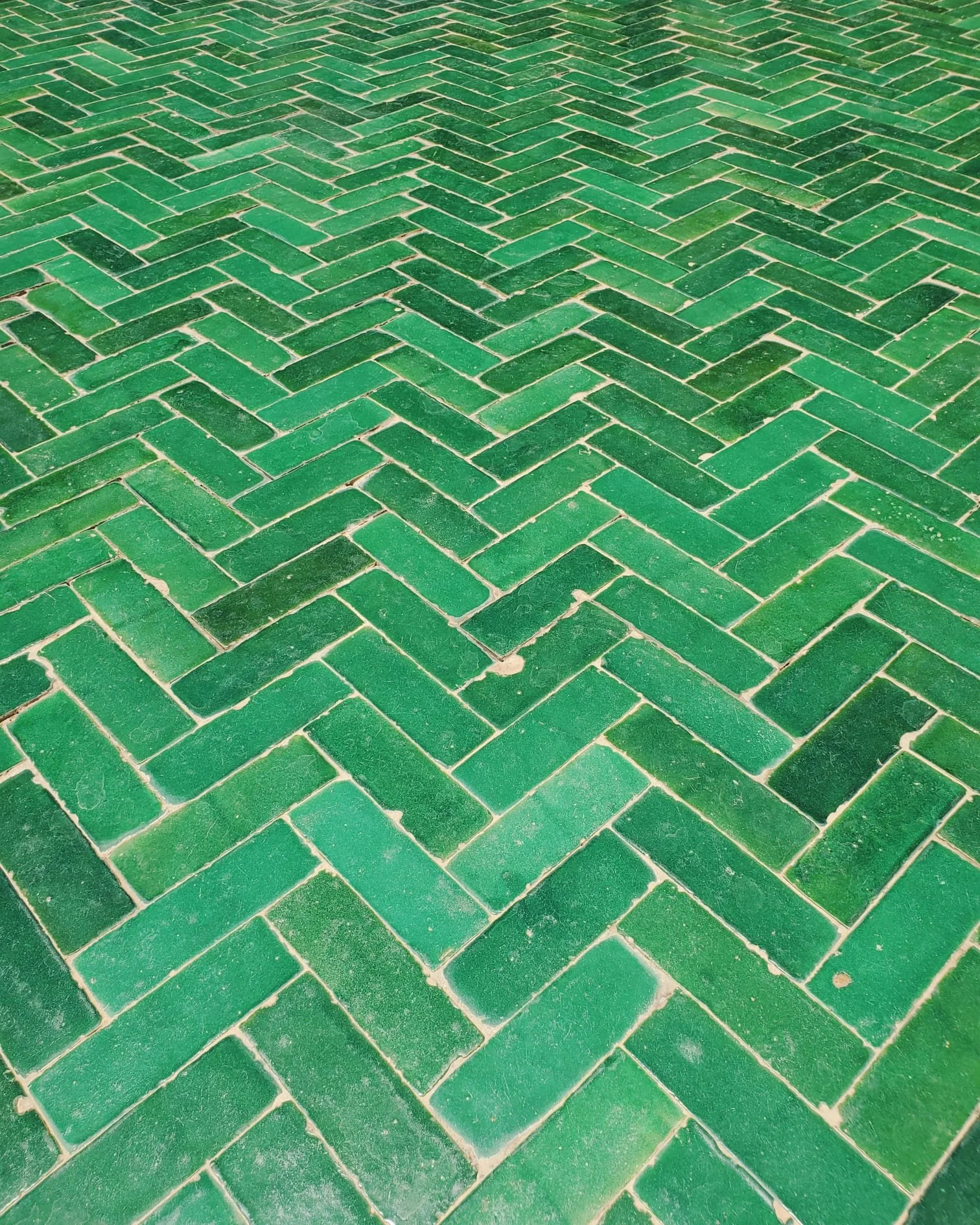 WhatsApp Image 2024-03-13 at 10.17.13 PM.jpeg