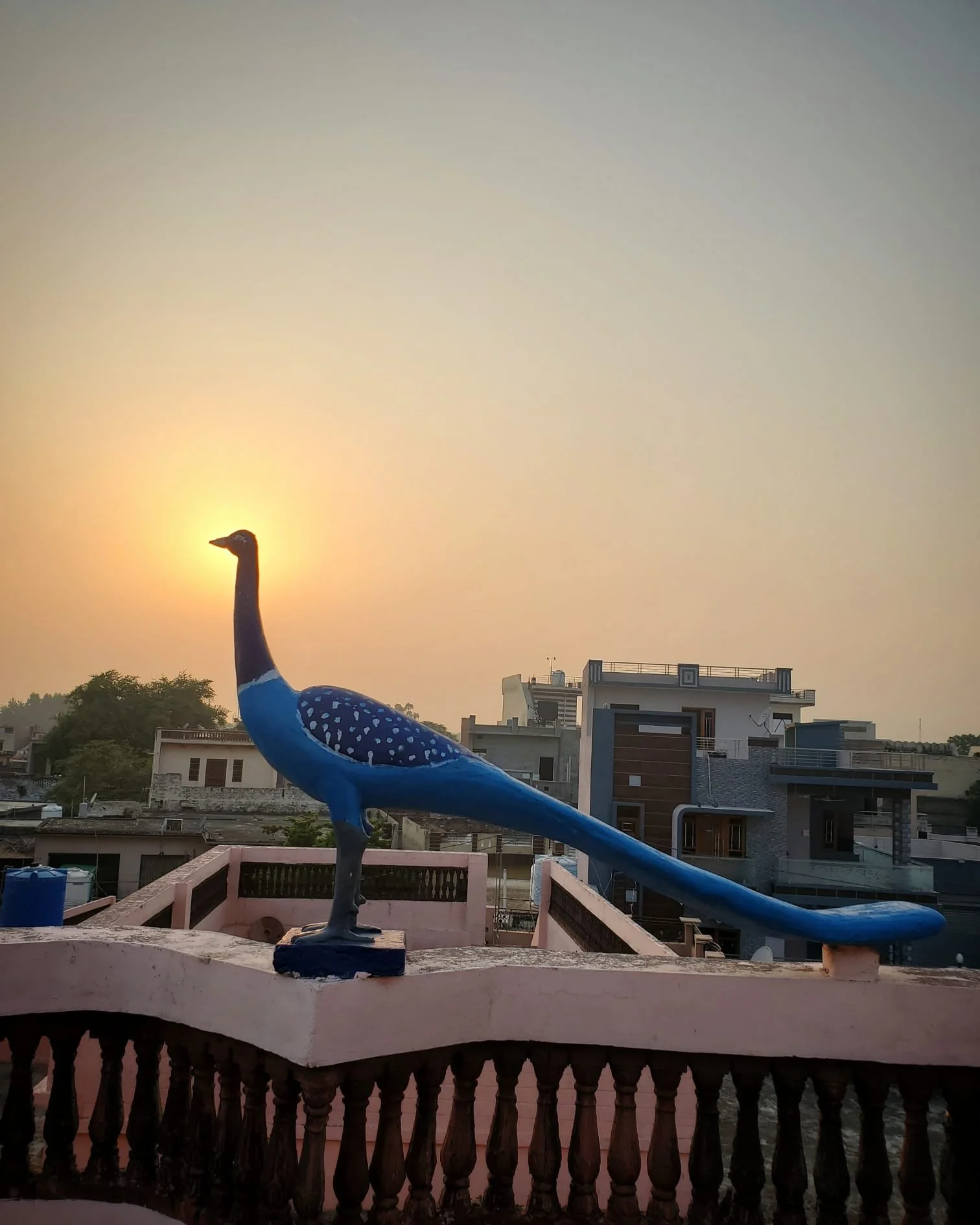 WhatsApp Image 2024-03-13 at 9.12.41 PM.jpeg