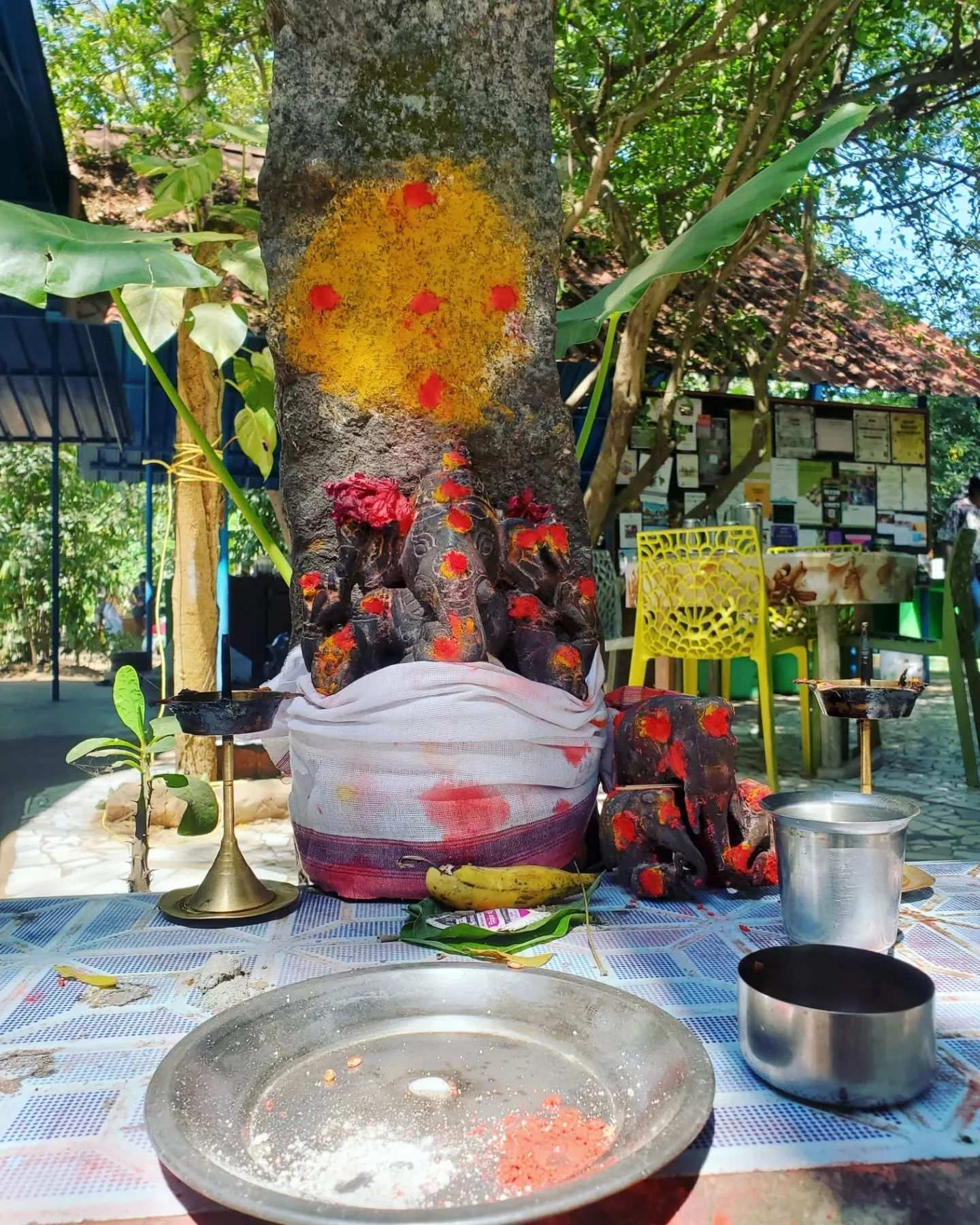 WhatsApp Image 2024-03-13 at 9.00.31 PM (4).jpeg